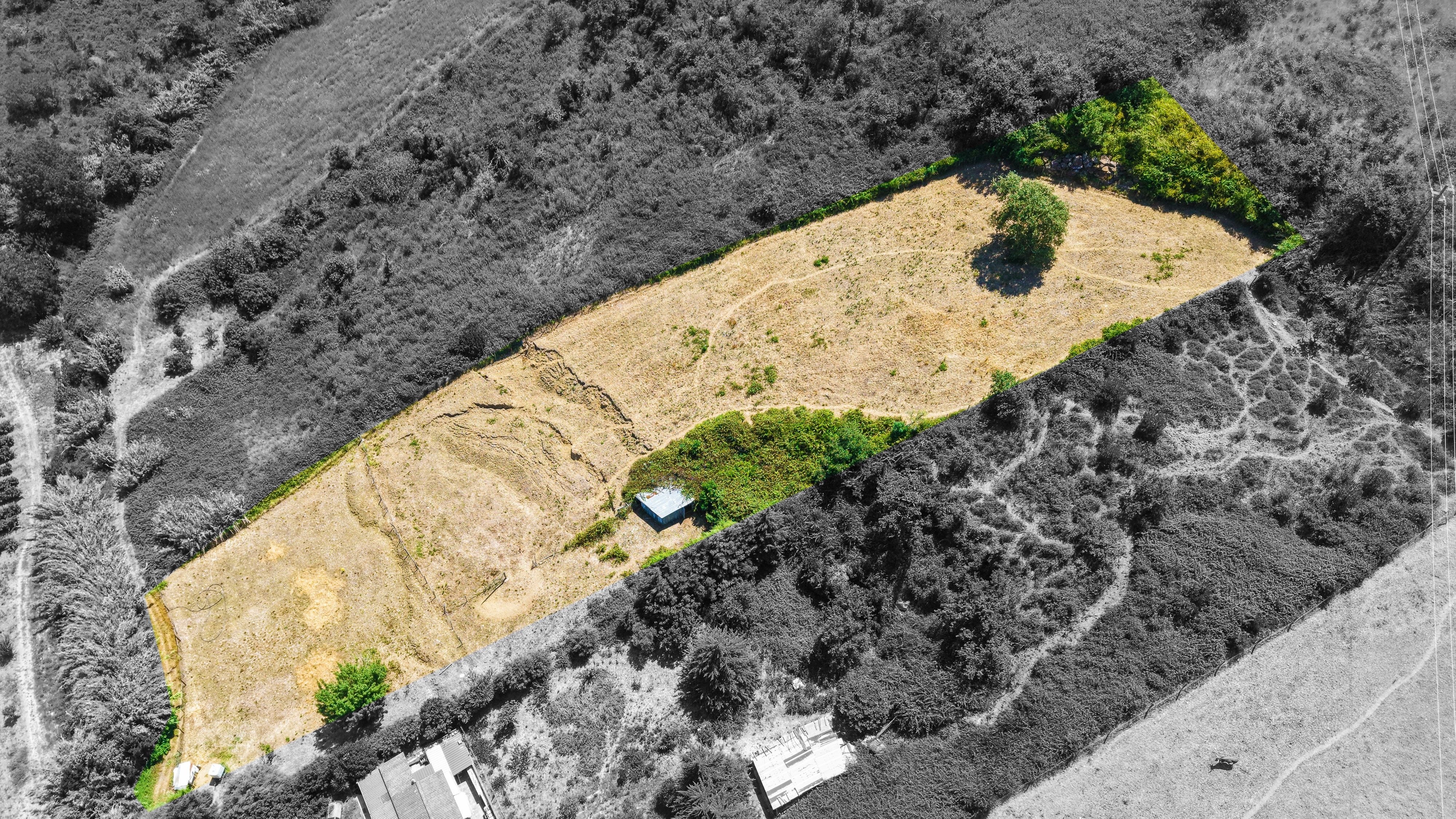 Terreno