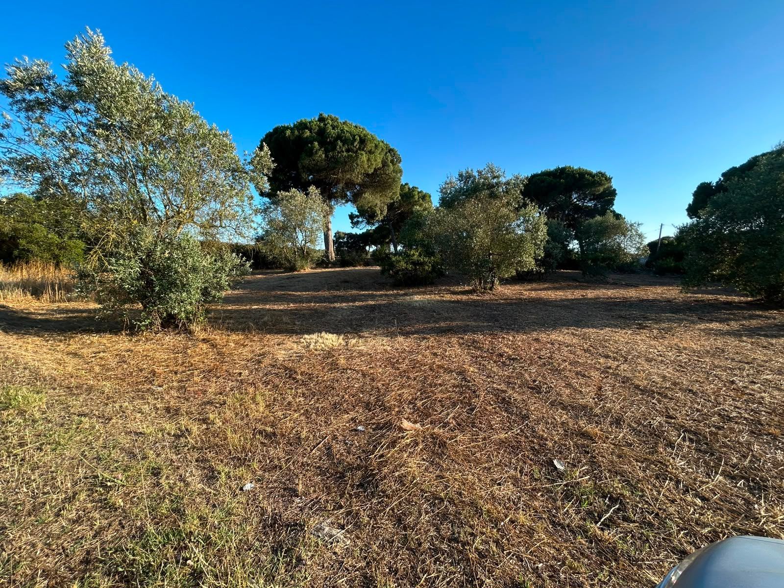 Terreno