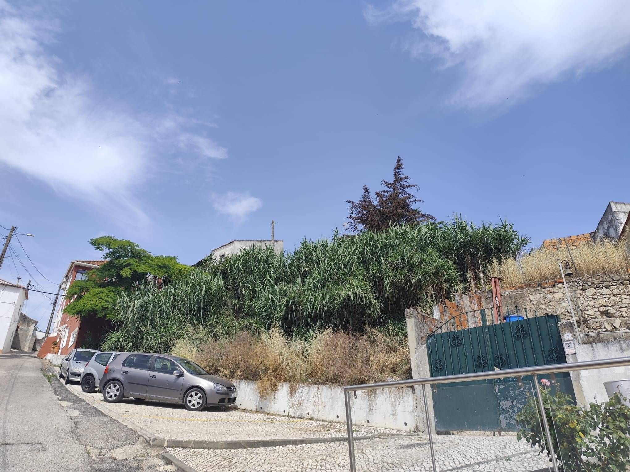 Terreno