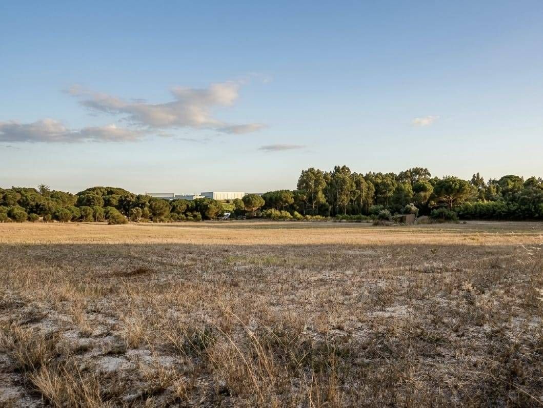Terreno