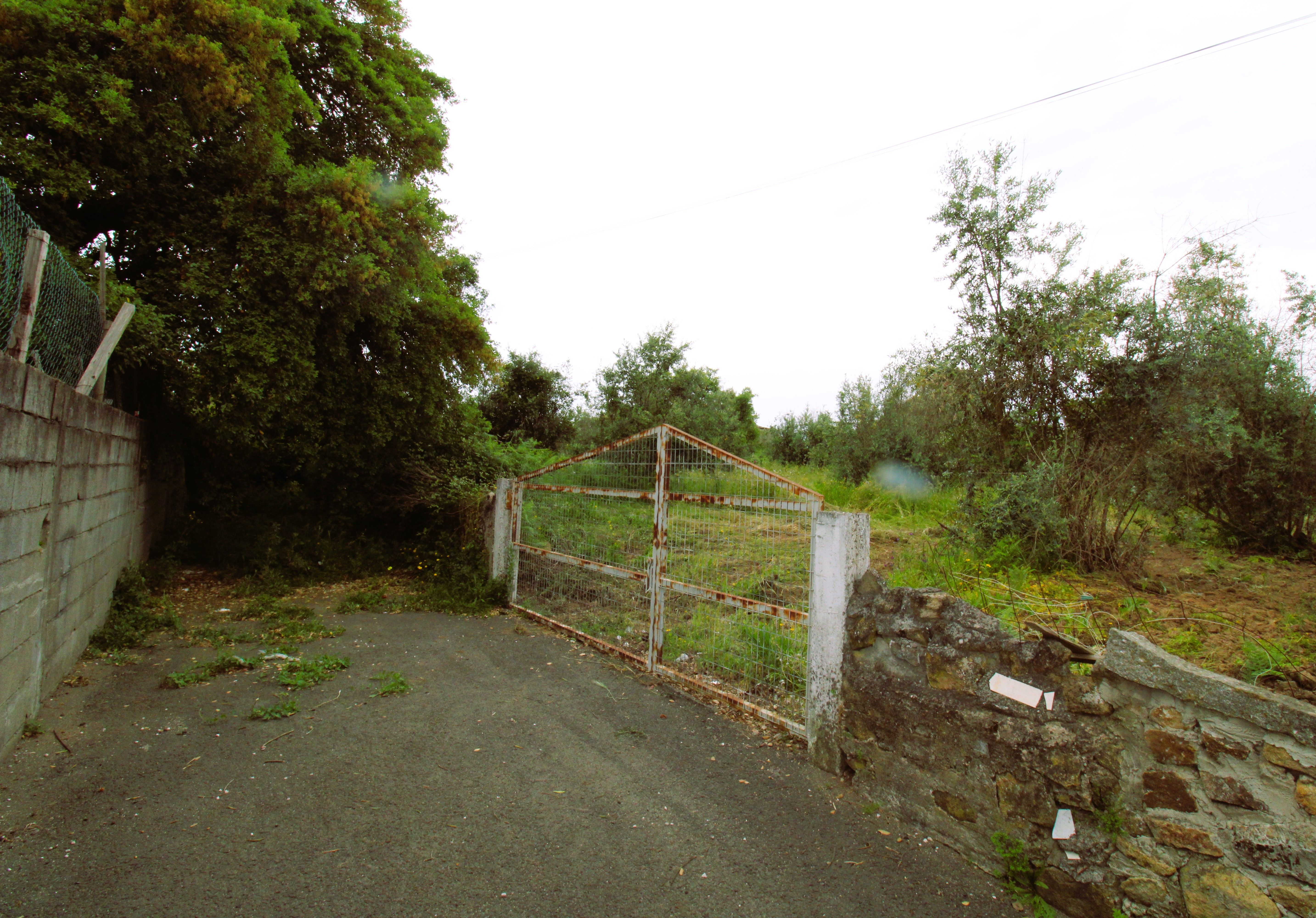 Terreno