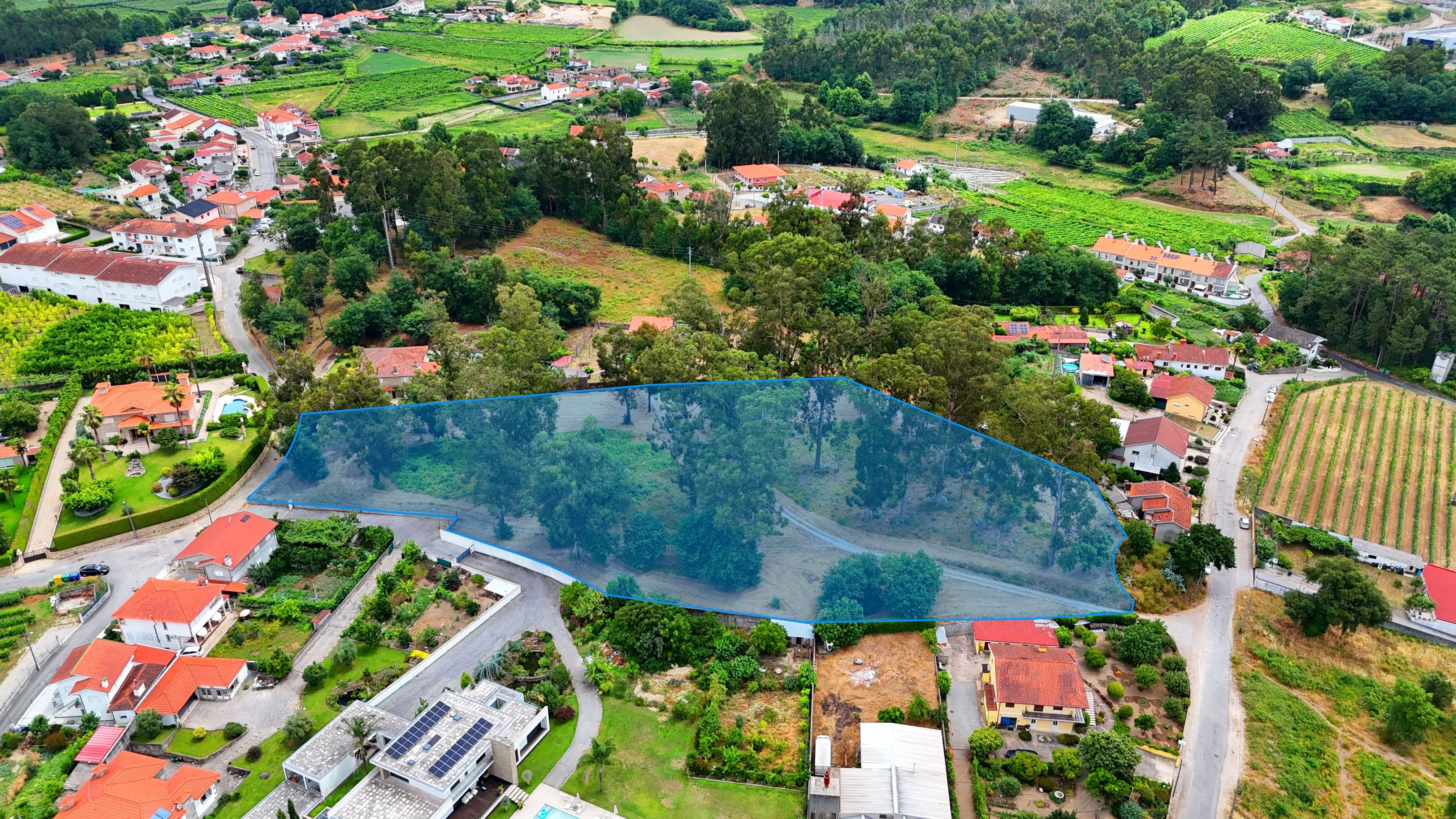 Terreno