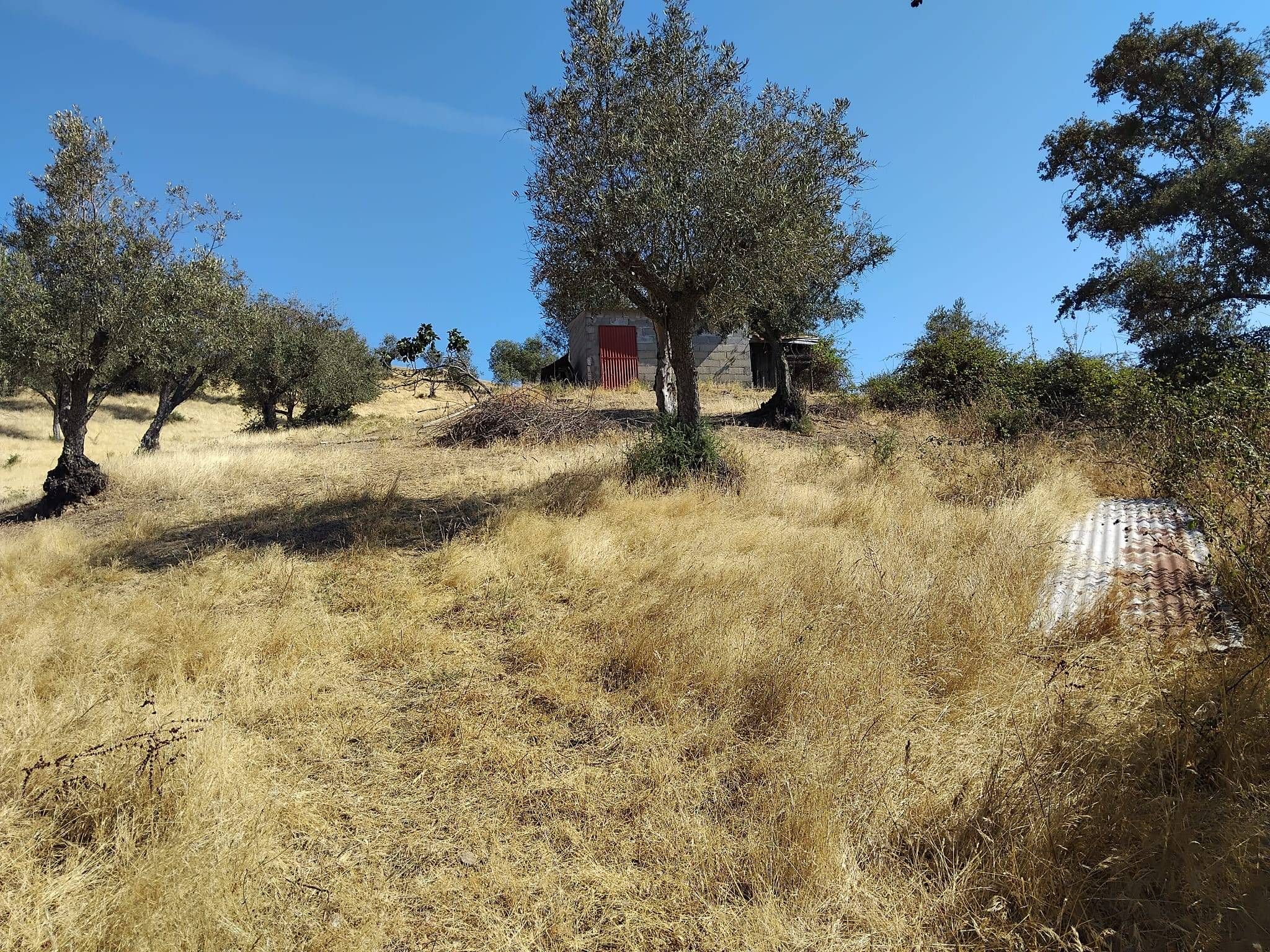 Terreno