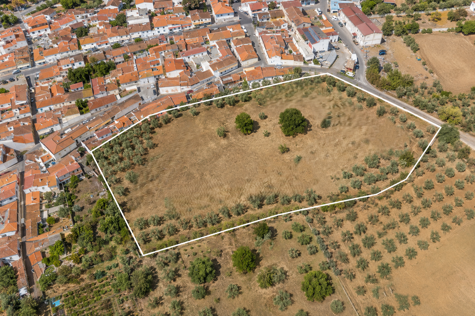 Terreno