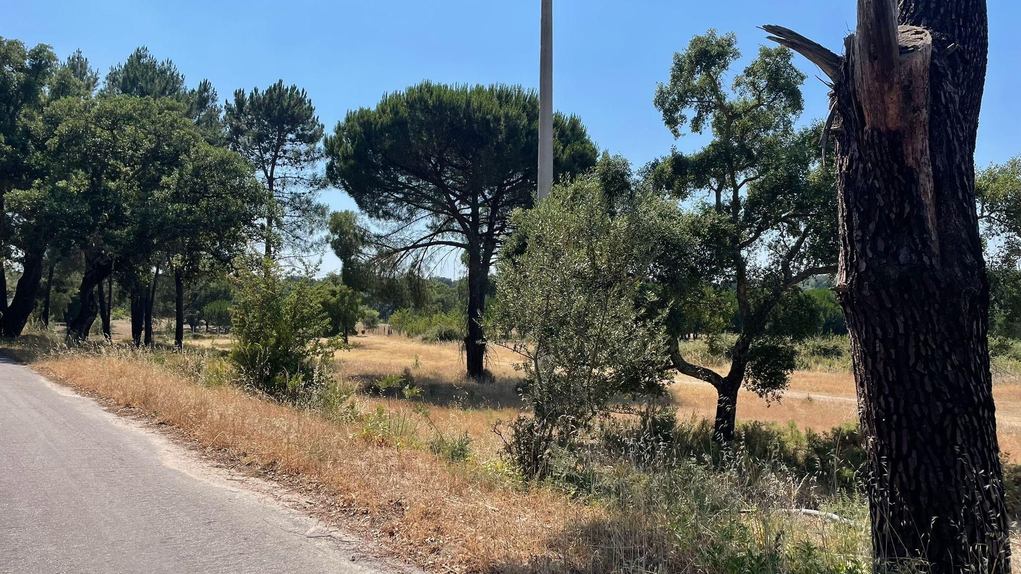 Terreno