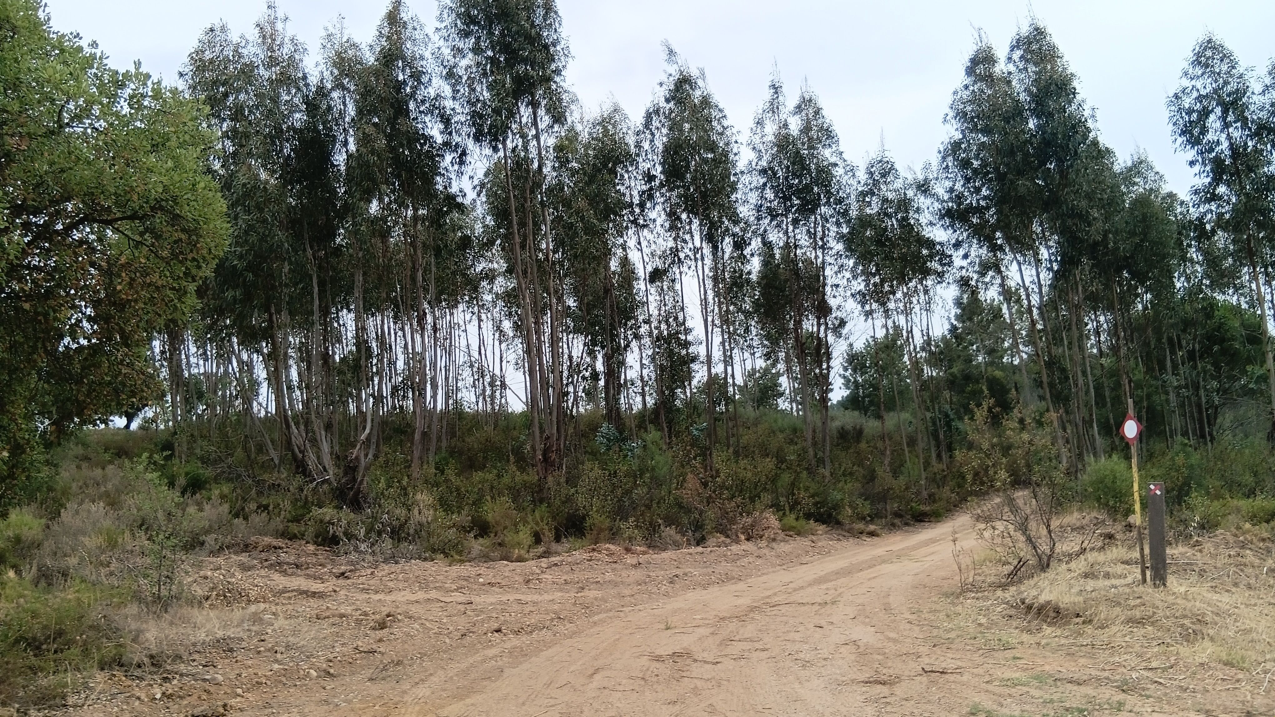 Terreno