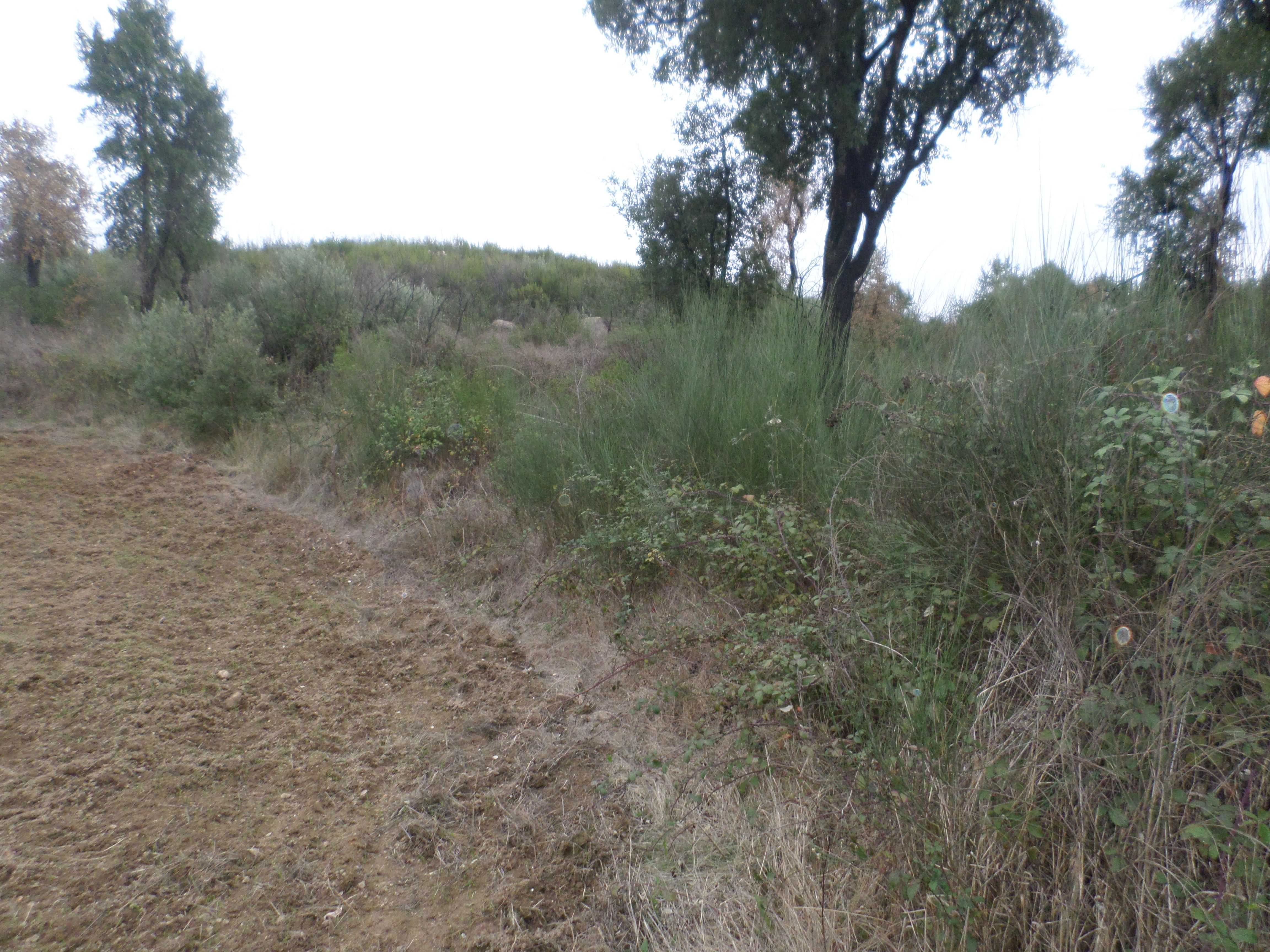 Terreno