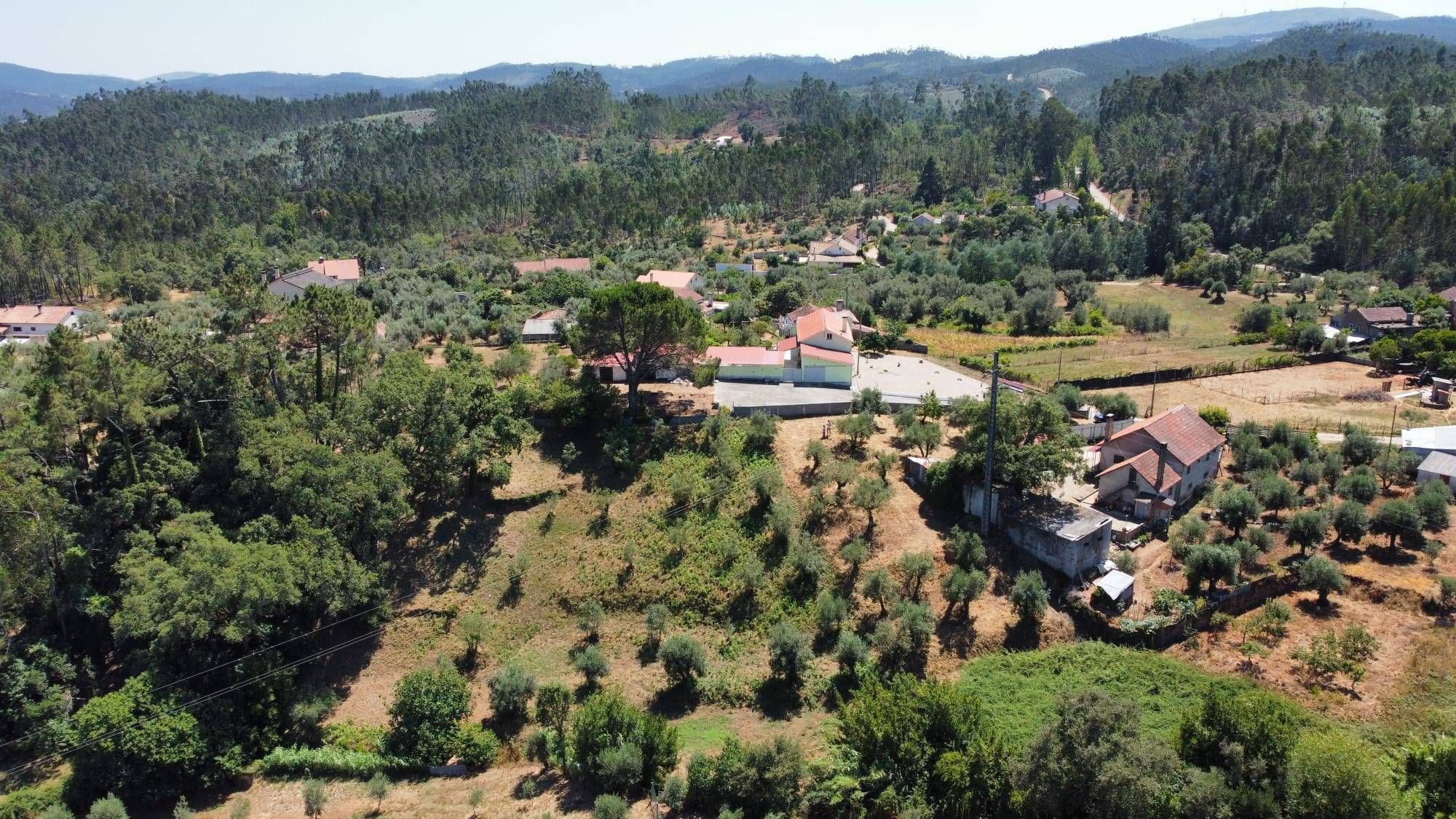 Terreno