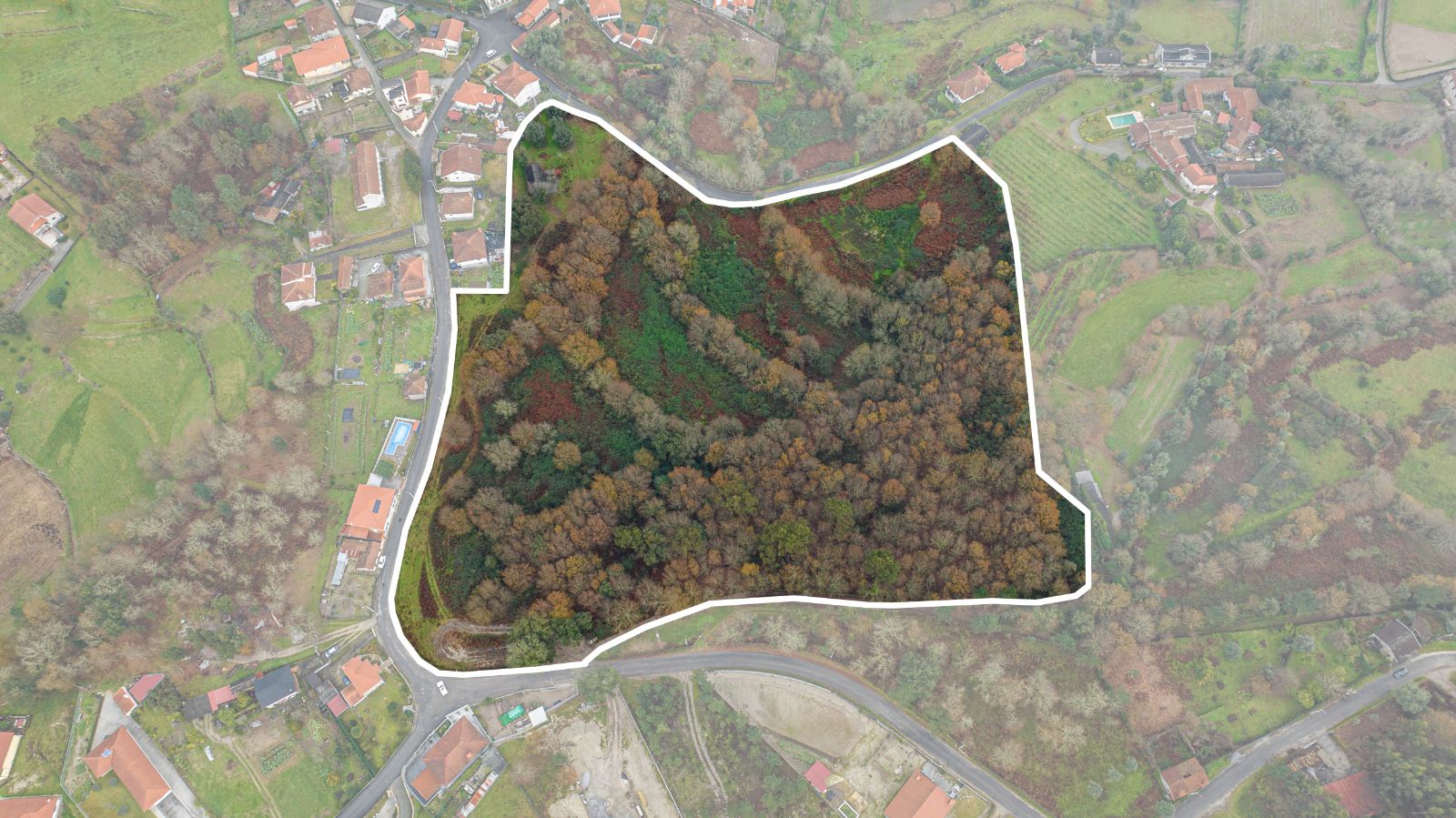 Terreno