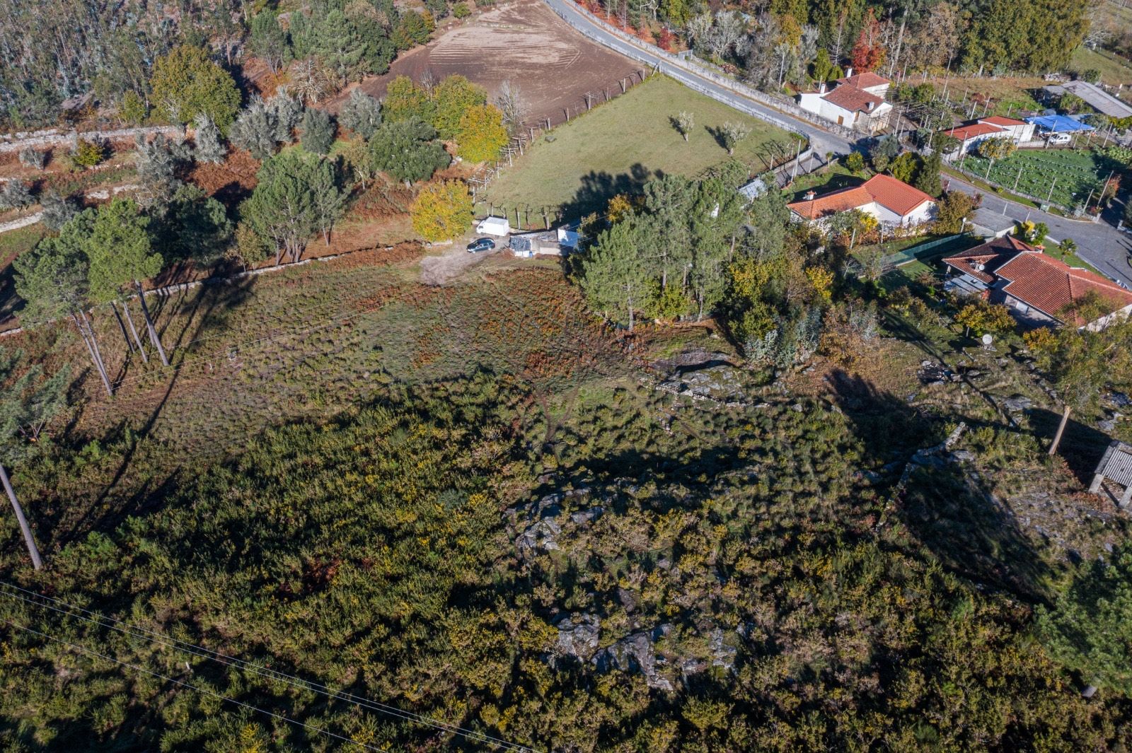Terreno