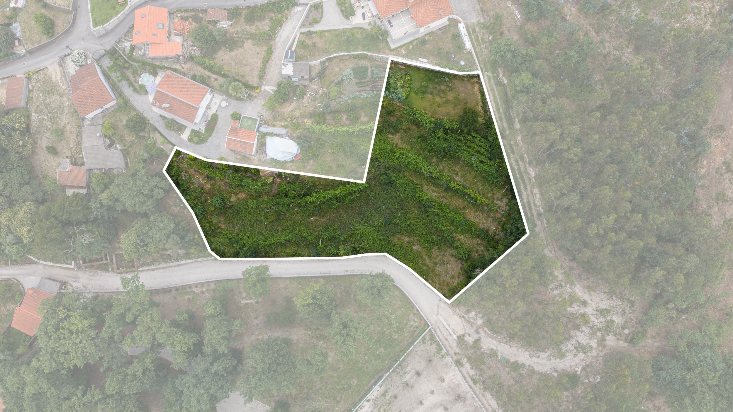 Terreno