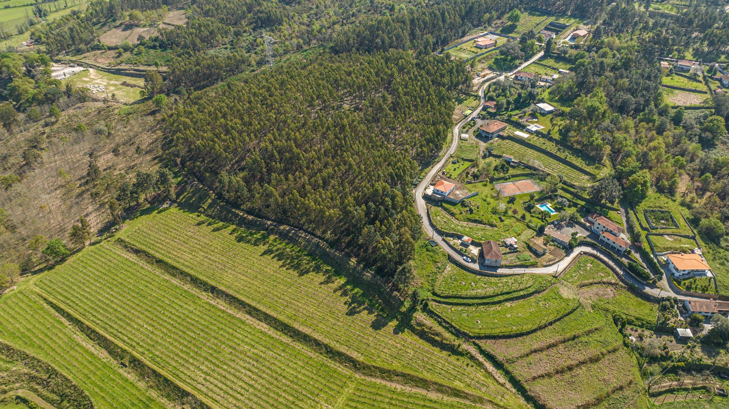 Terreno