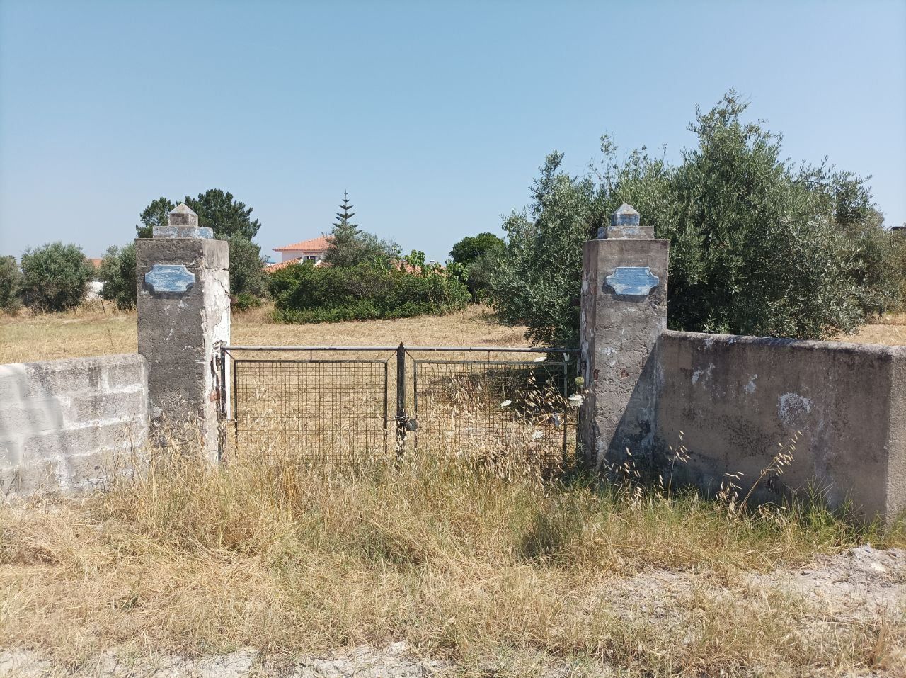 Terreno