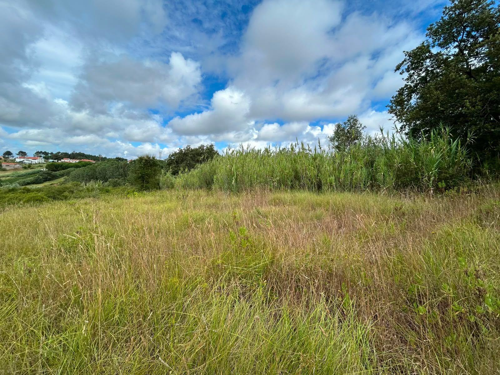 Terreno
