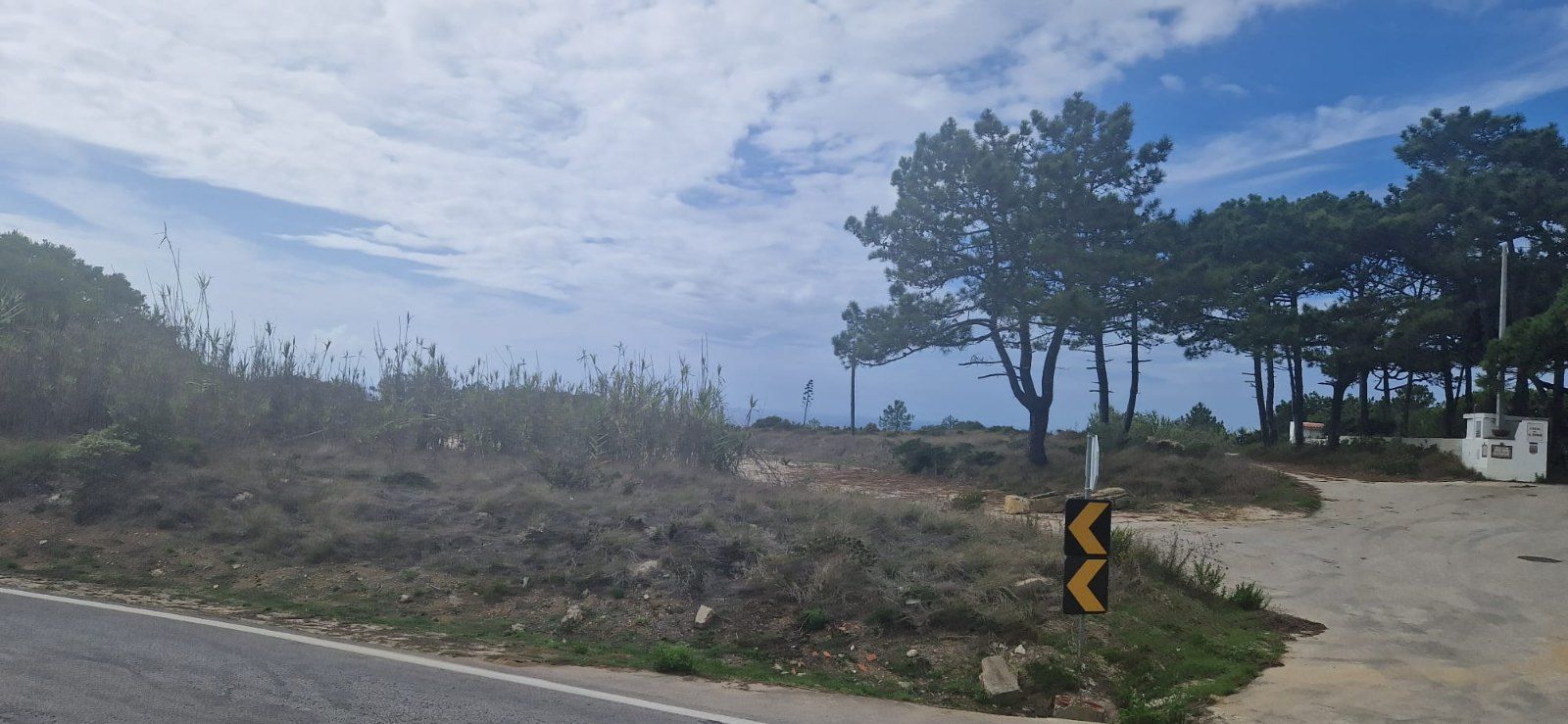 Terreno