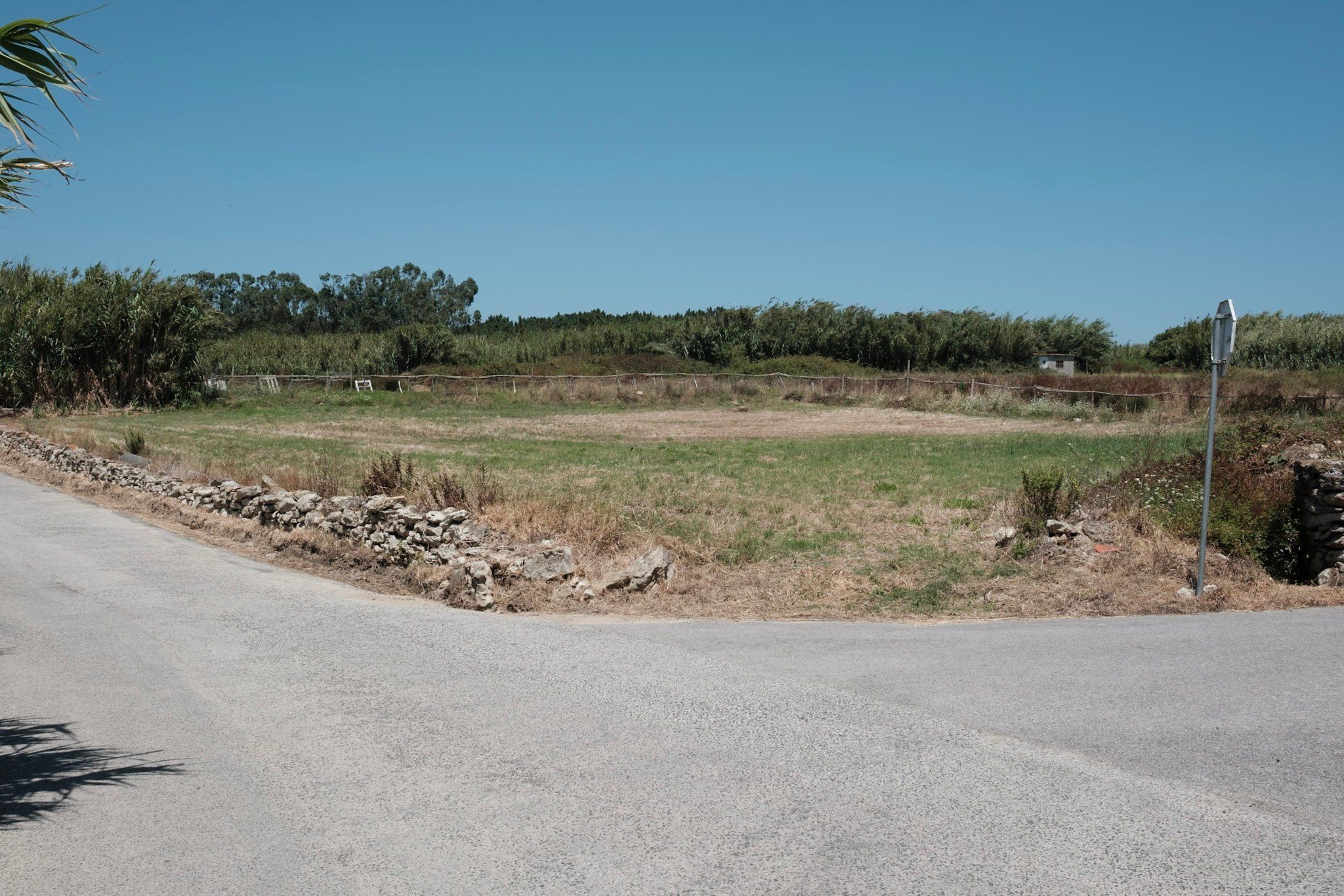 Terreno