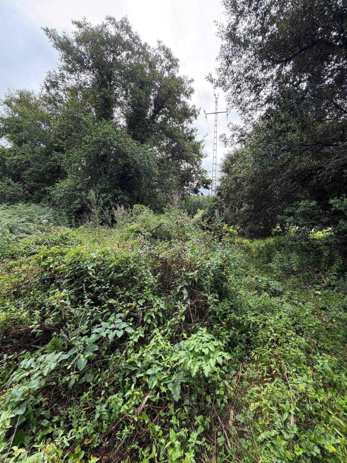 Terreno