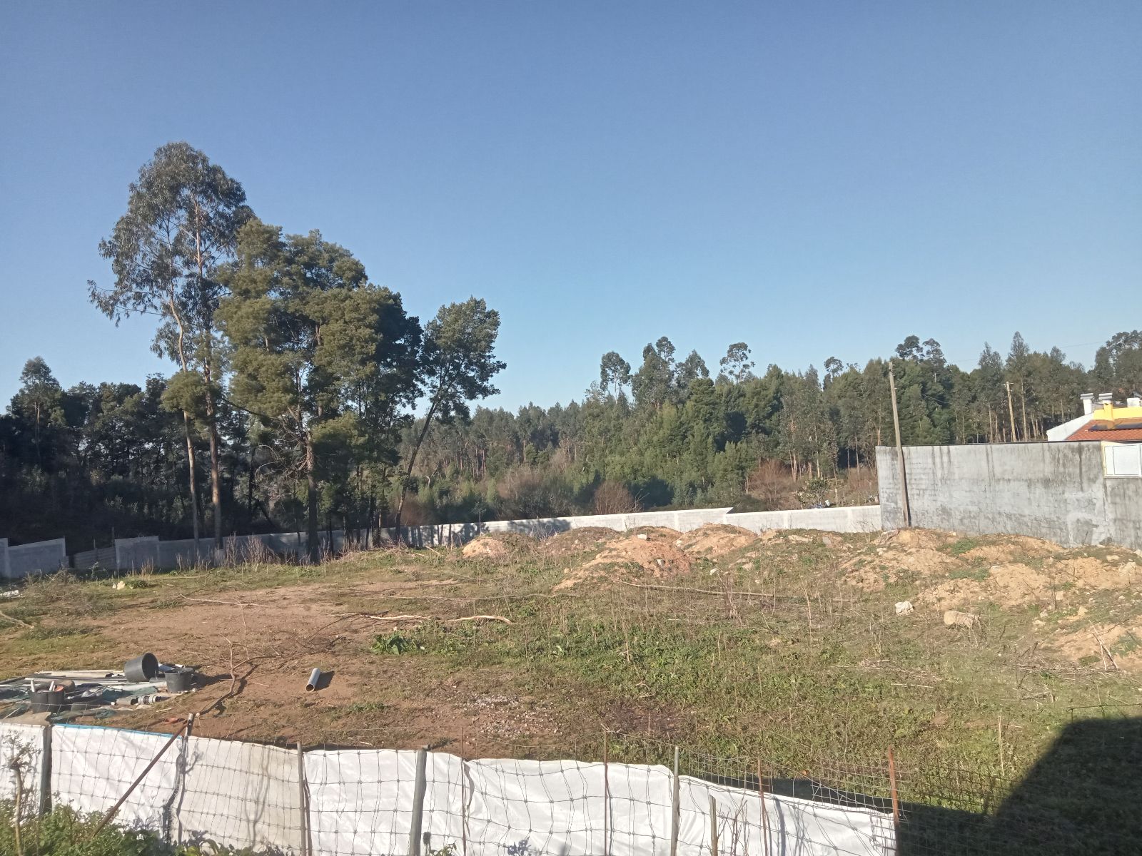 Terreno