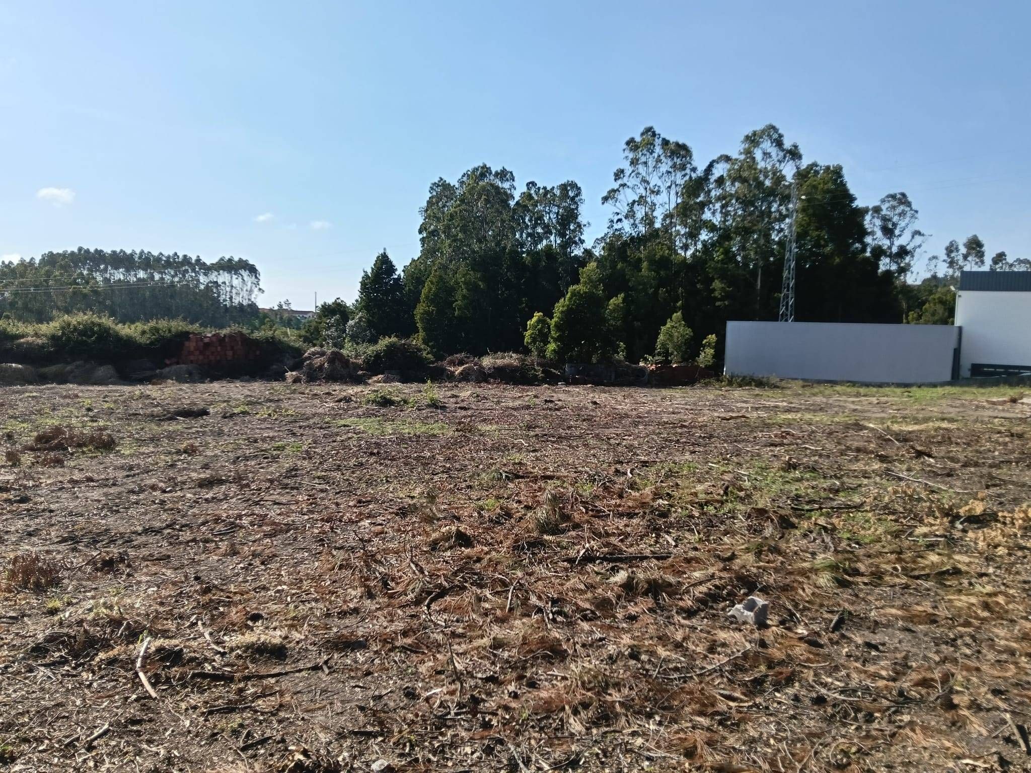Terreno