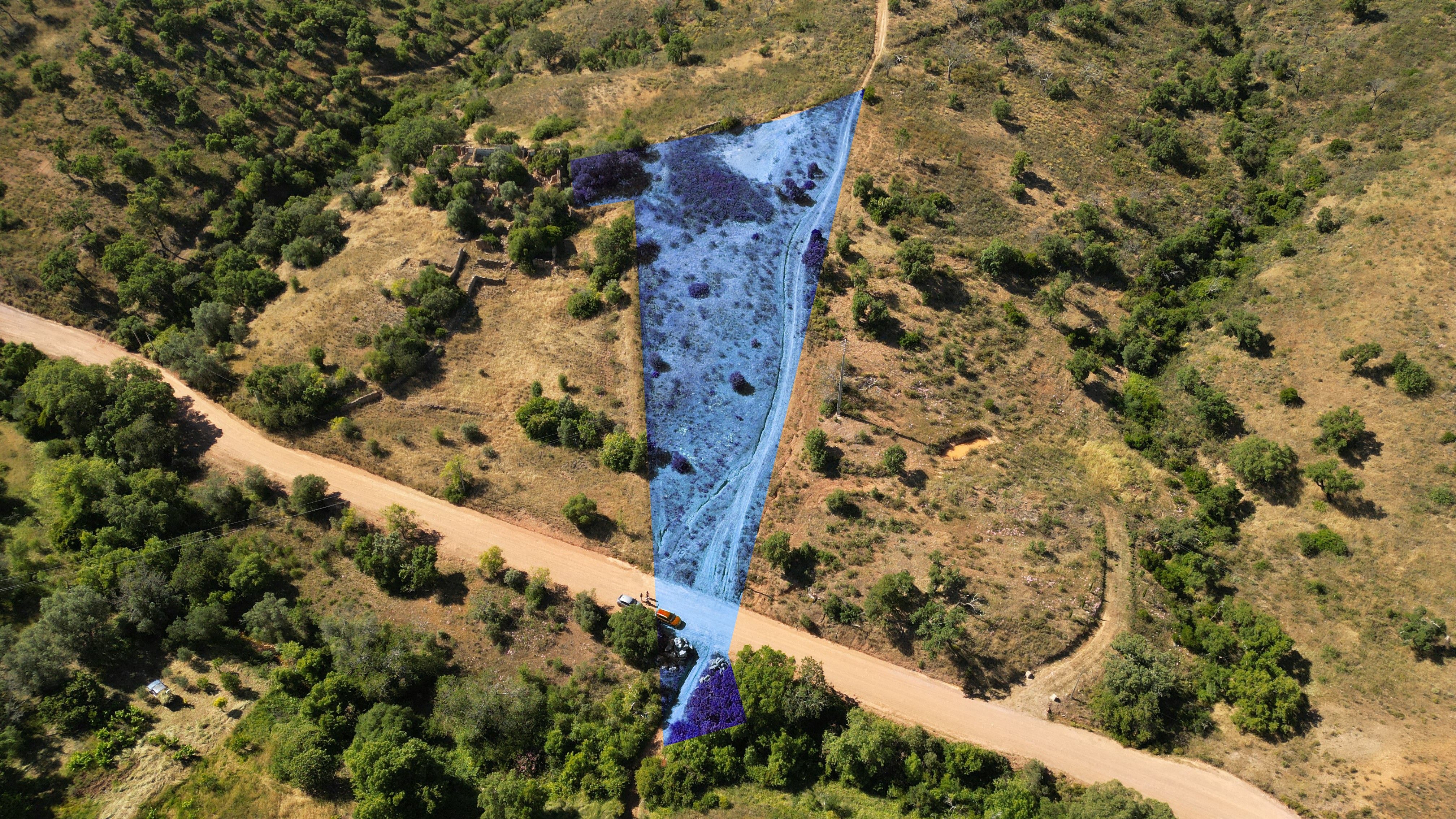 Terreno