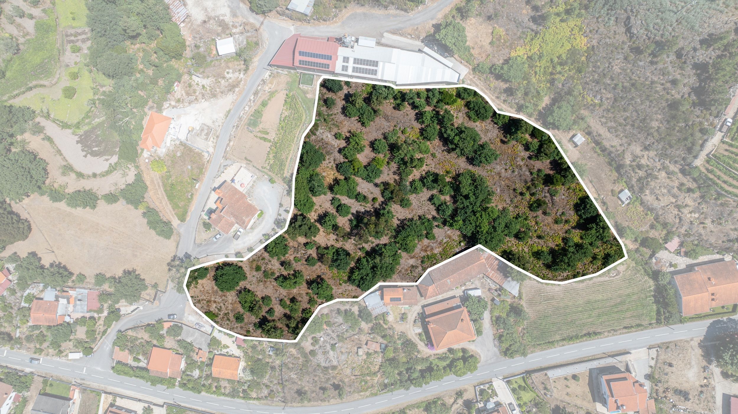 Terreno