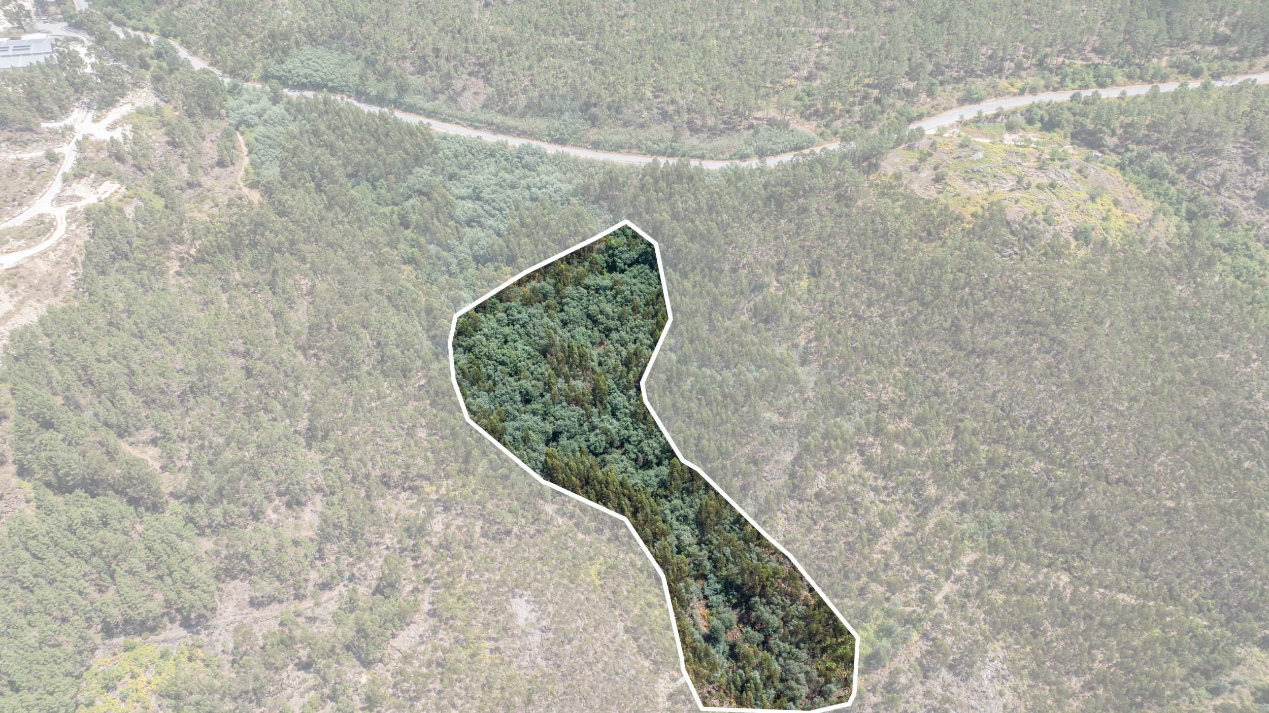 Terreno