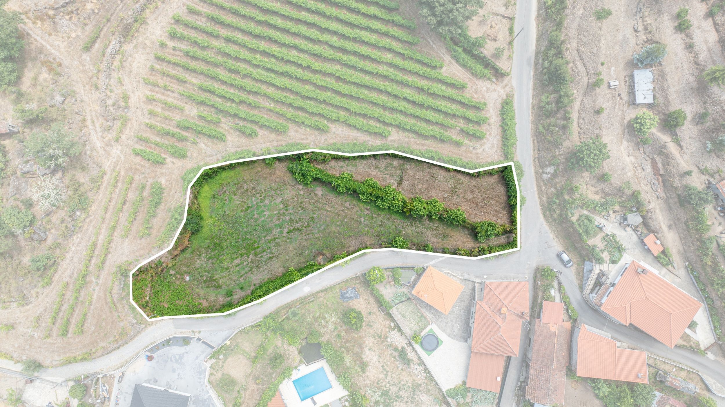 Terreno