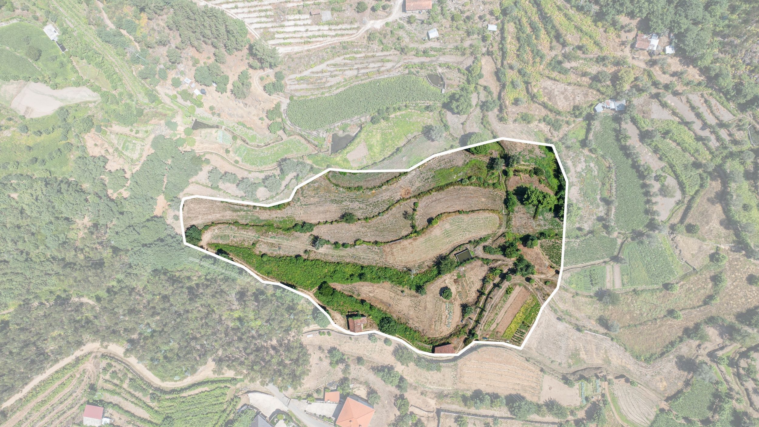 Terreno