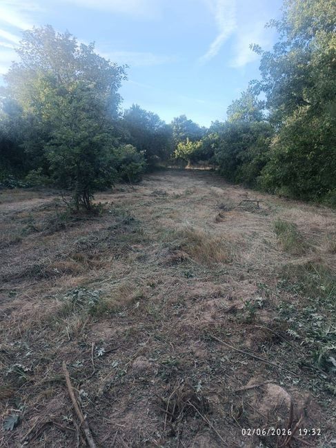 Terreno