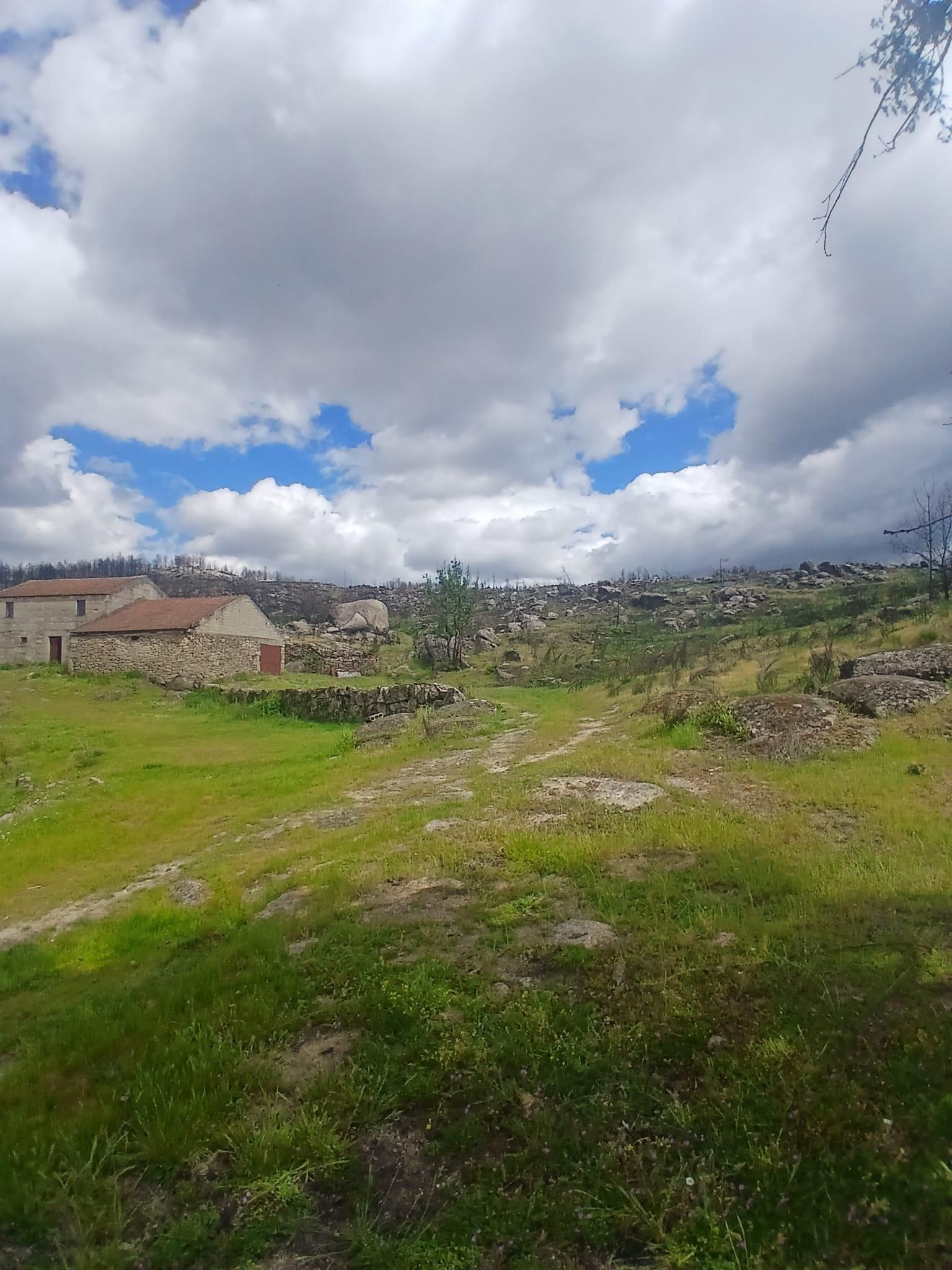 Terreno