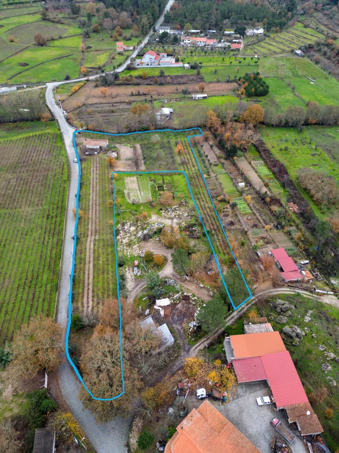 Terreno