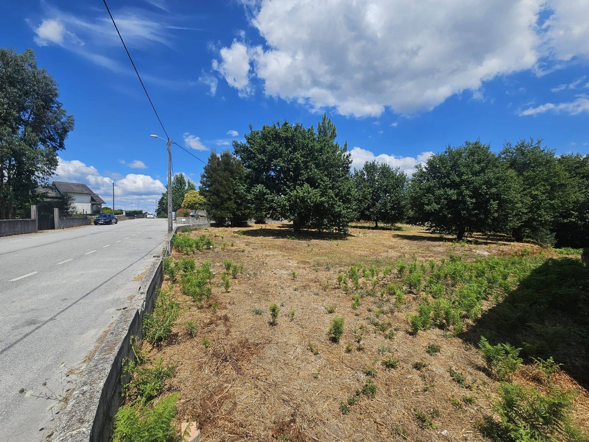 Terreno
