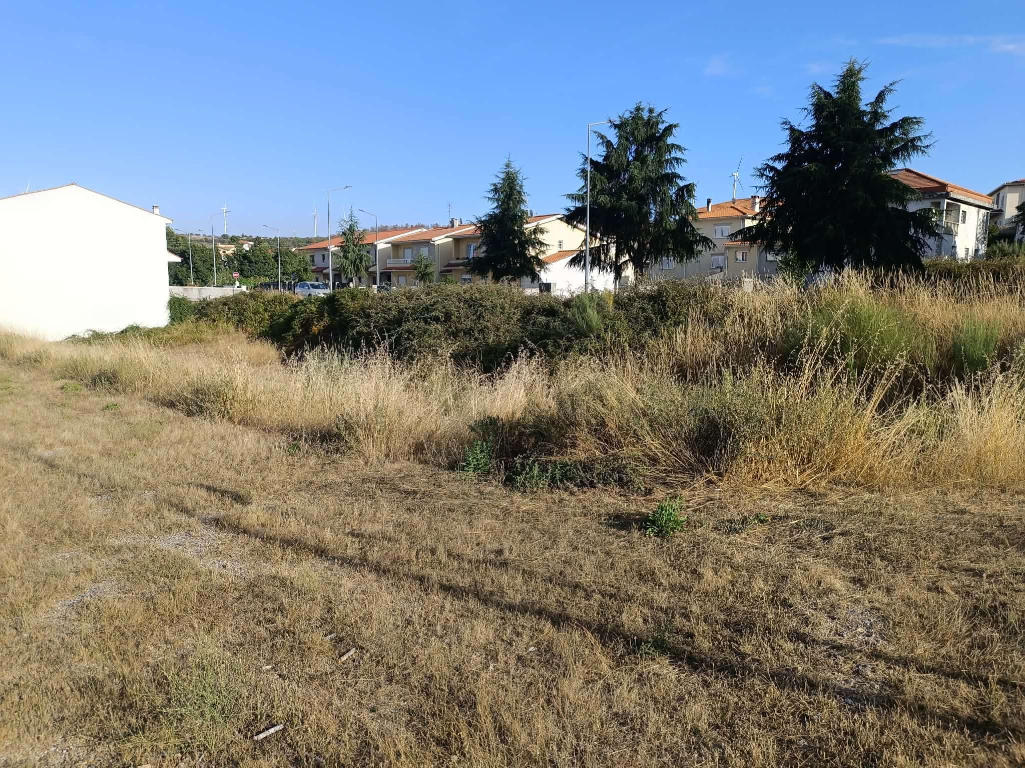 Terreno