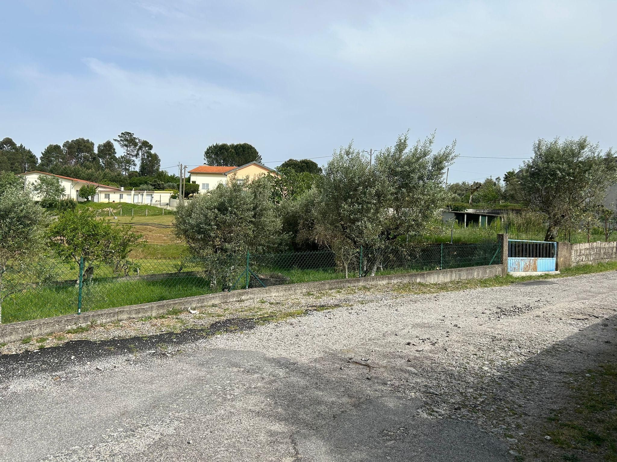 Terreno