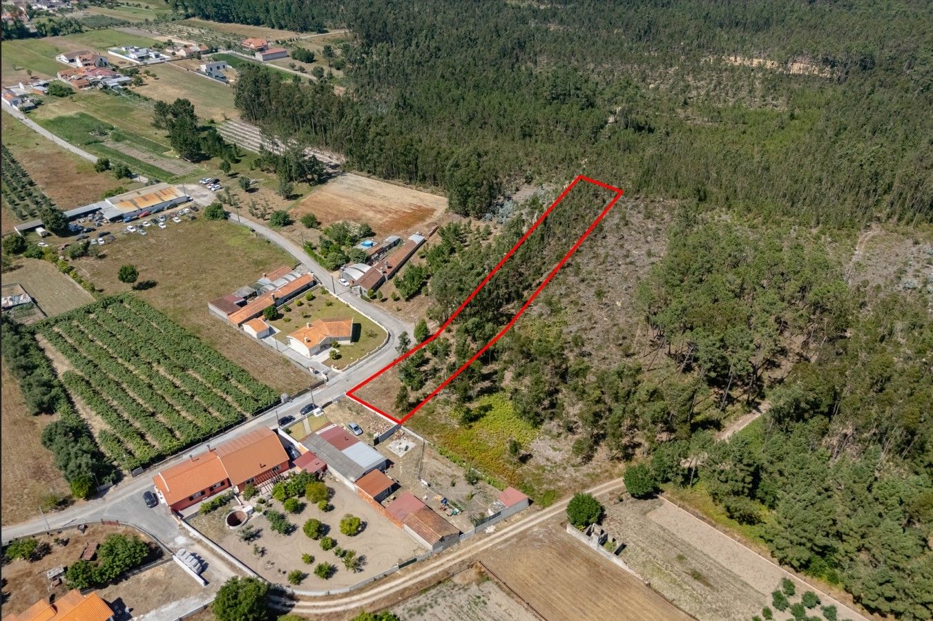 Terreno