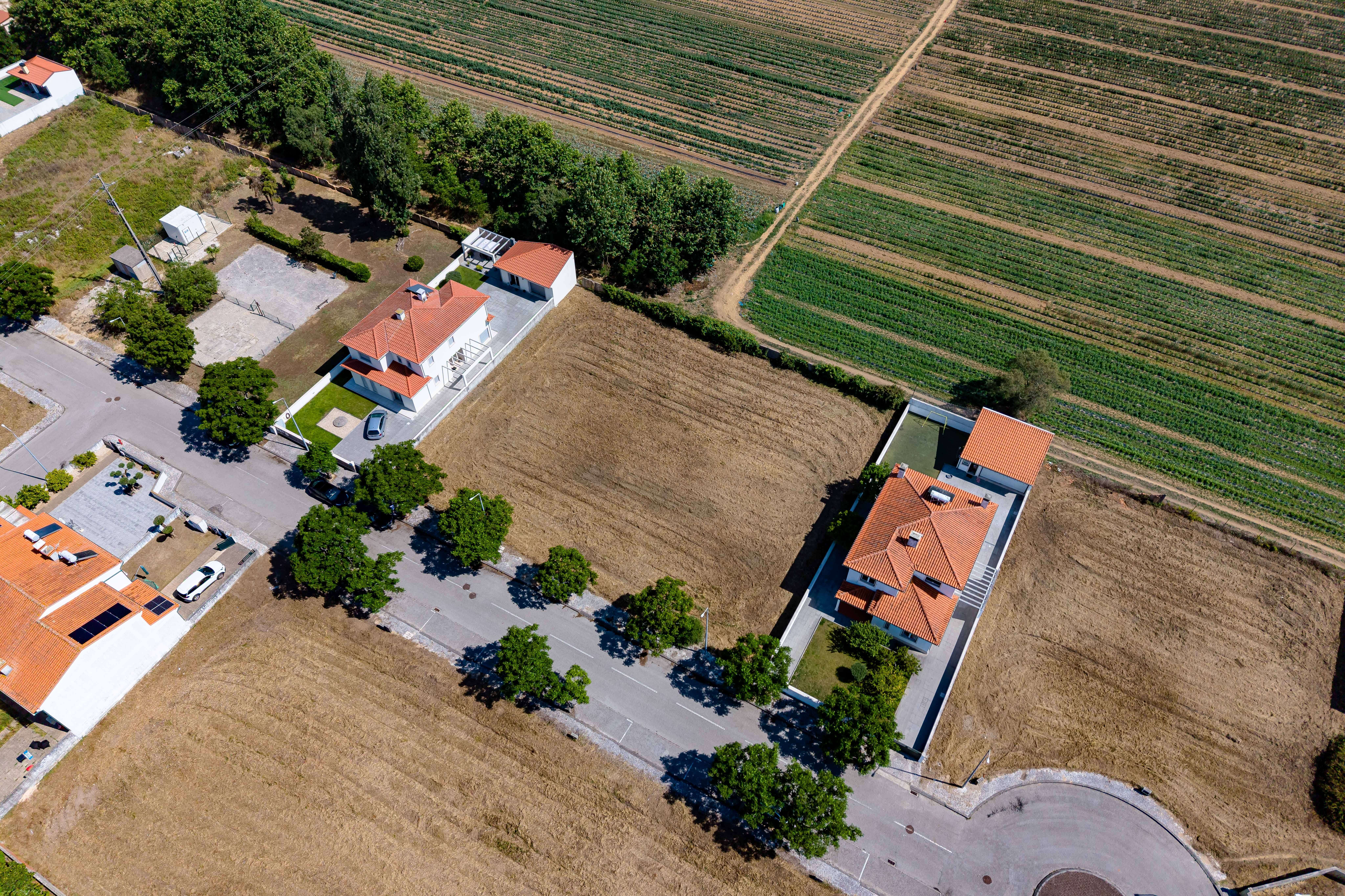 Terreno