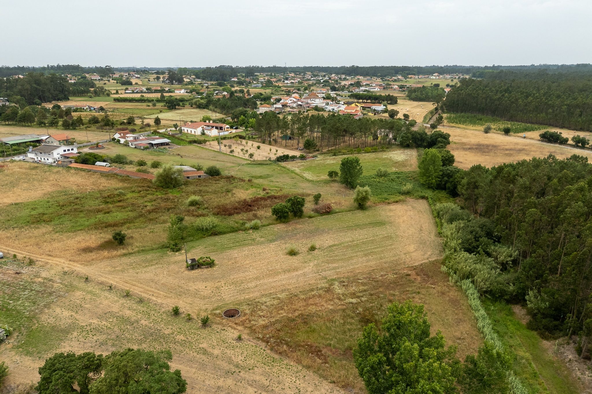Terreno