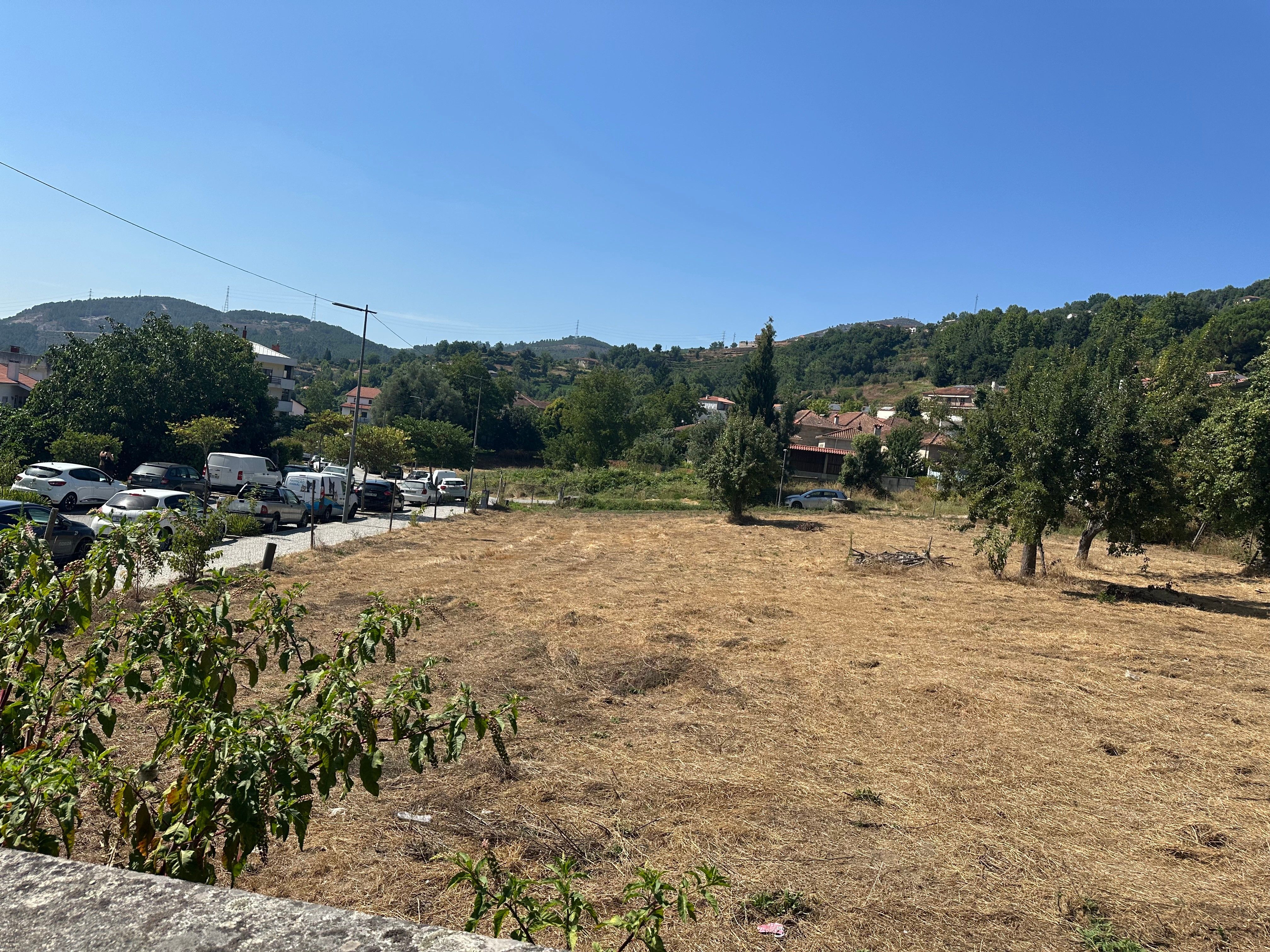 Terreno