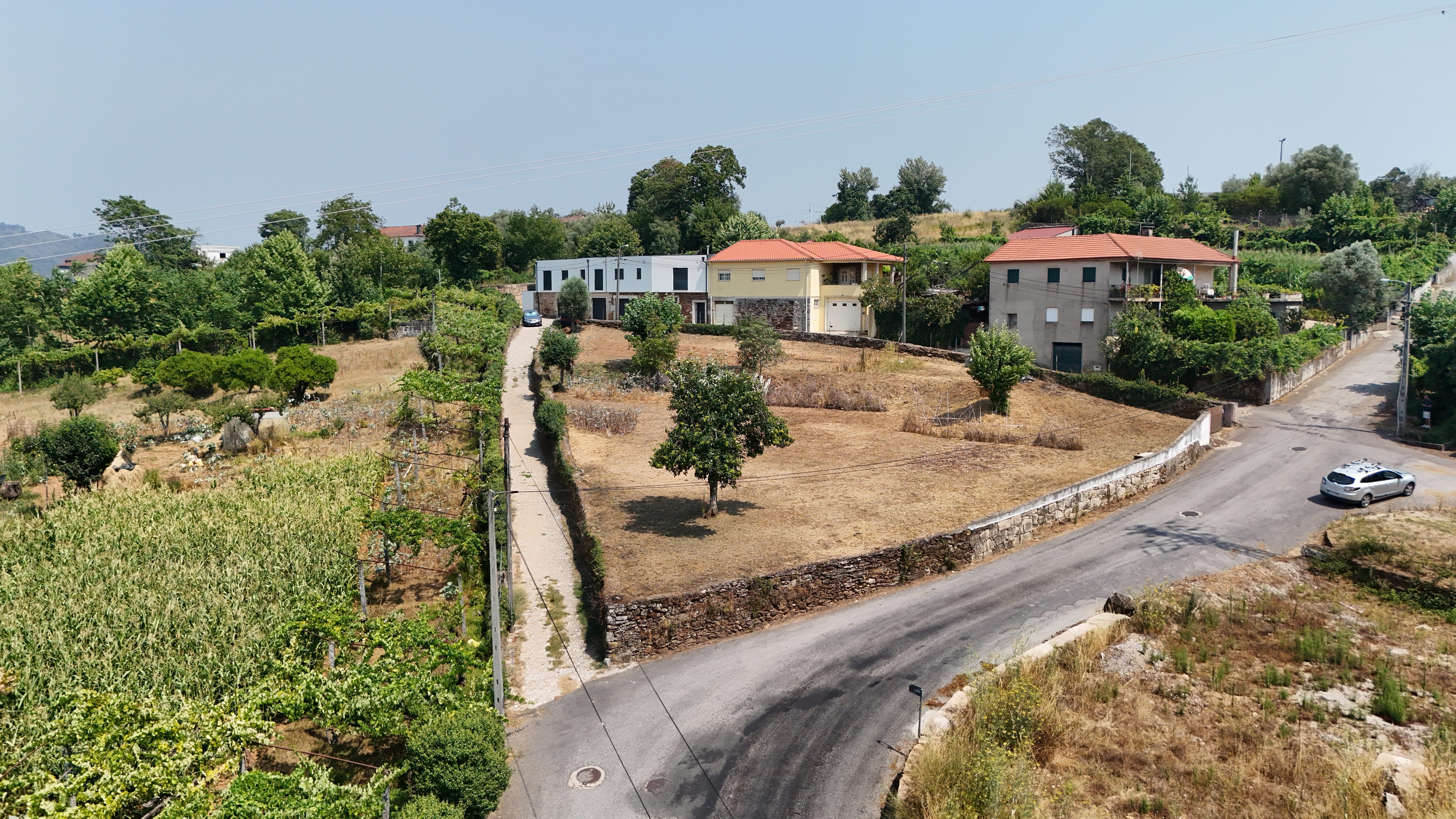 Terreno