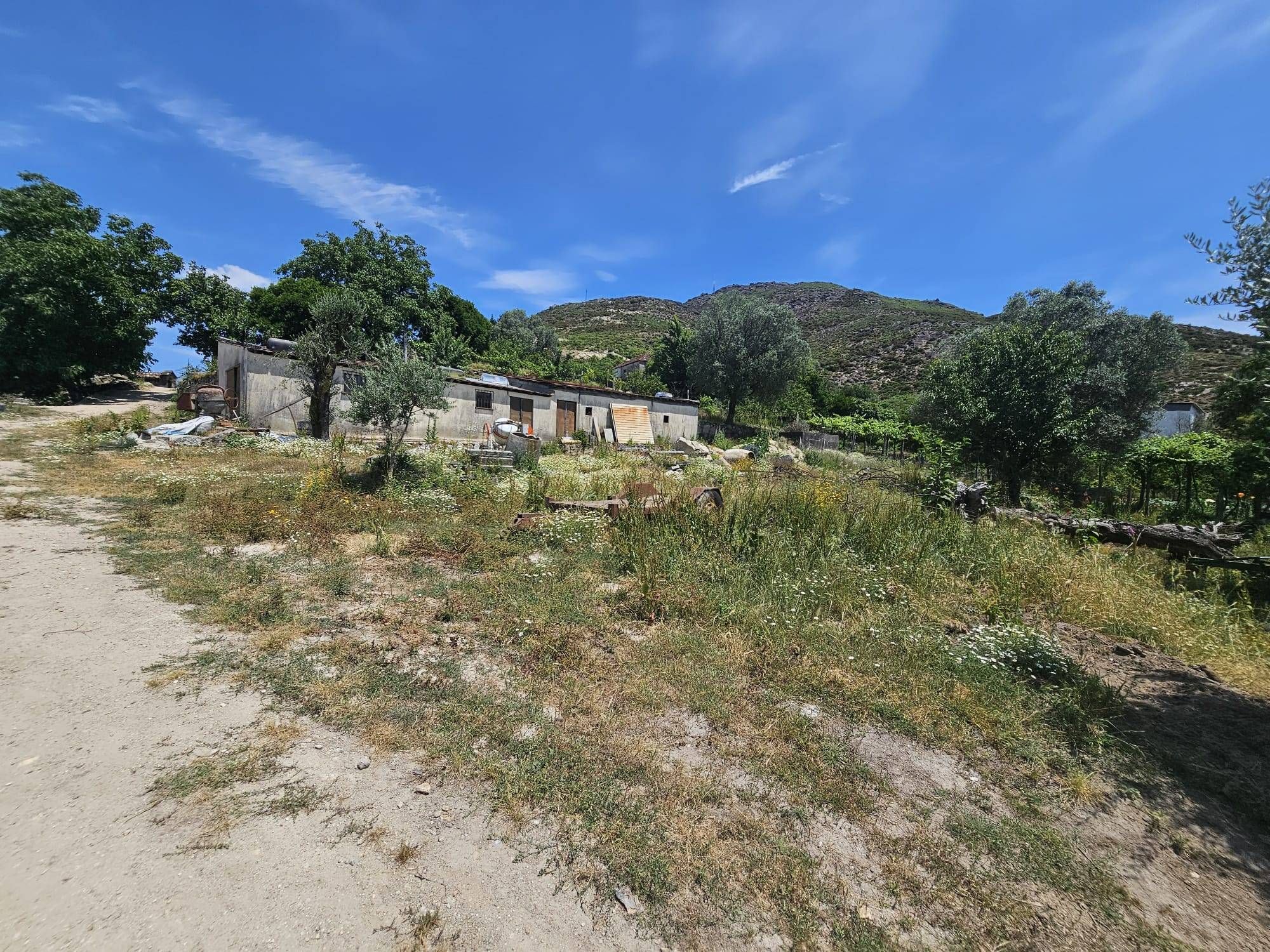 Terreno