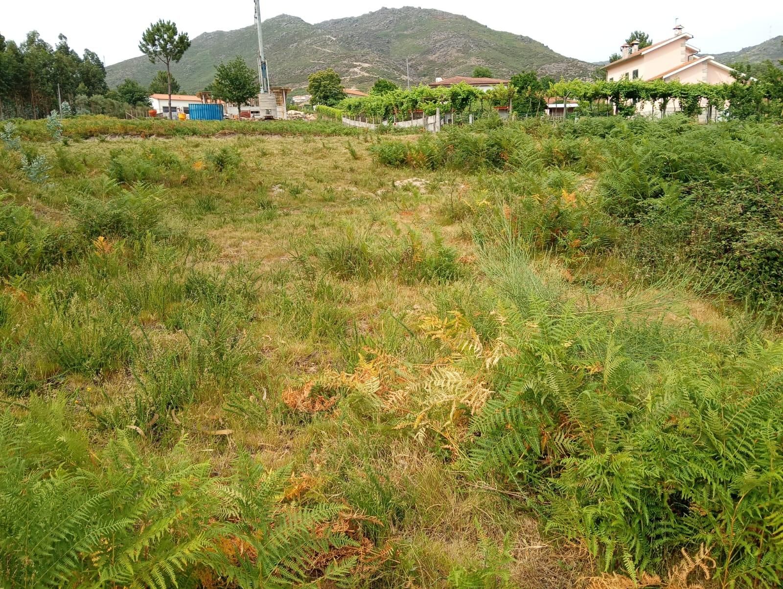 Terreno