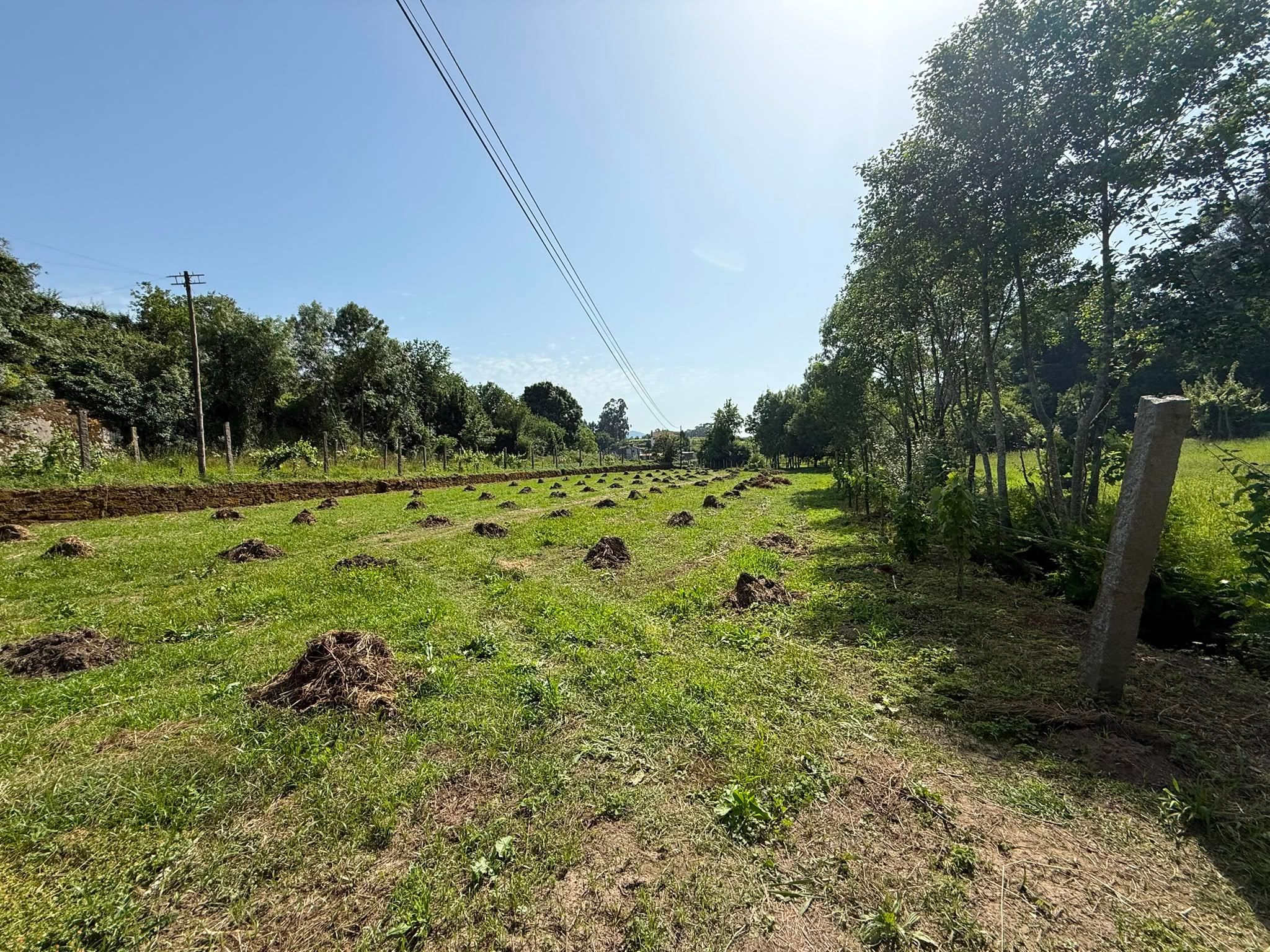 Terreno
