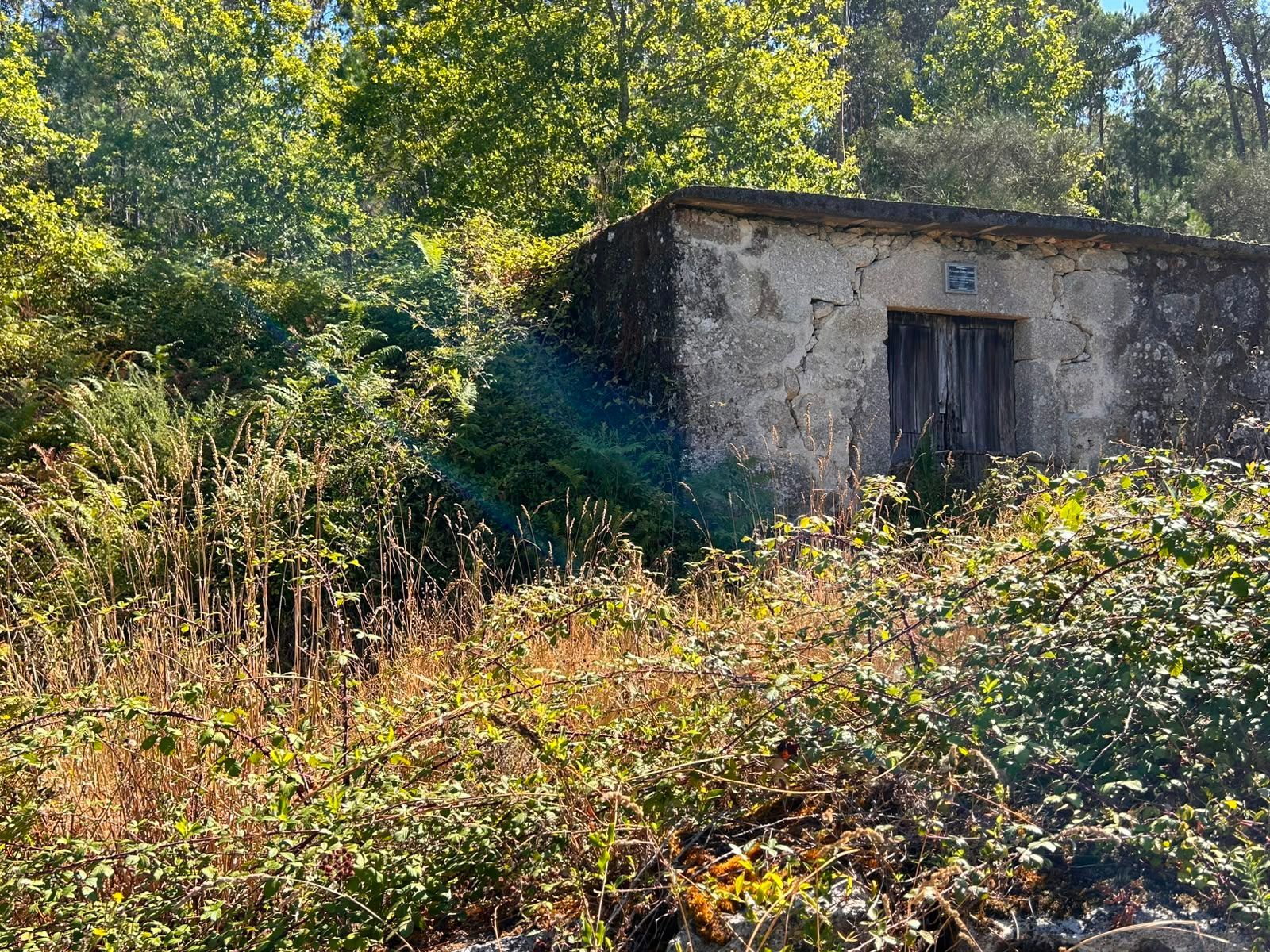 Terreno