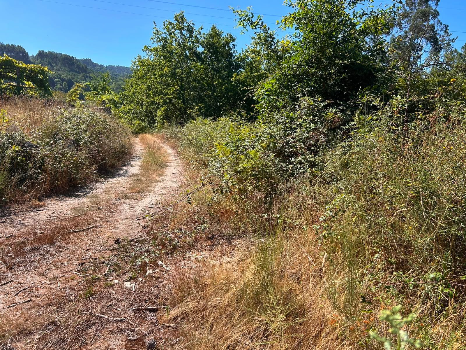 Terreno