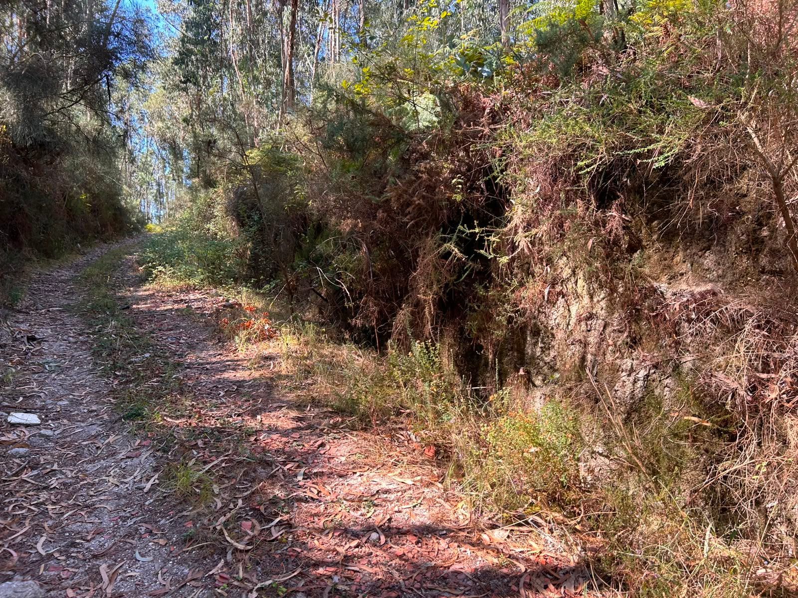 Terreno