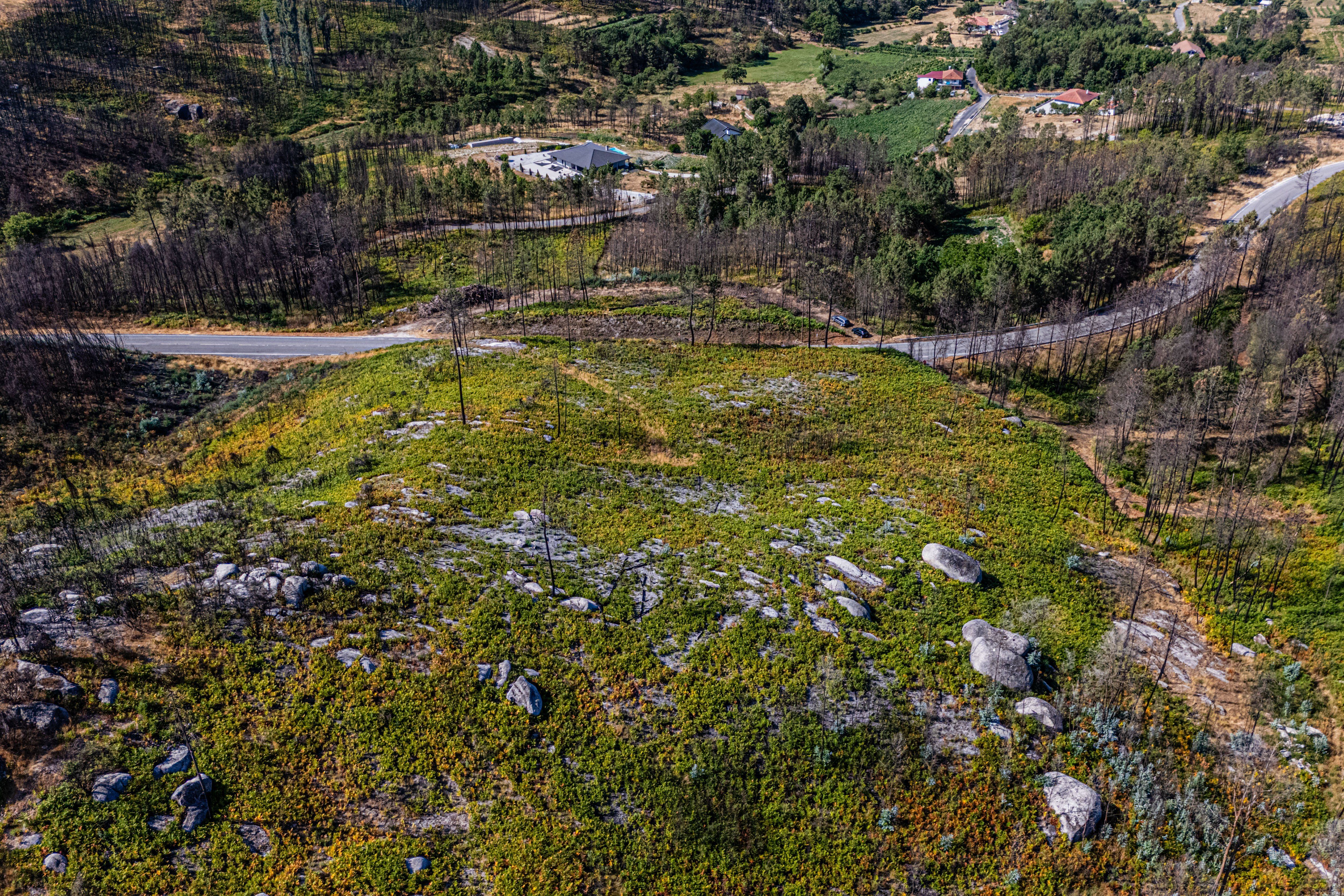 Terreno