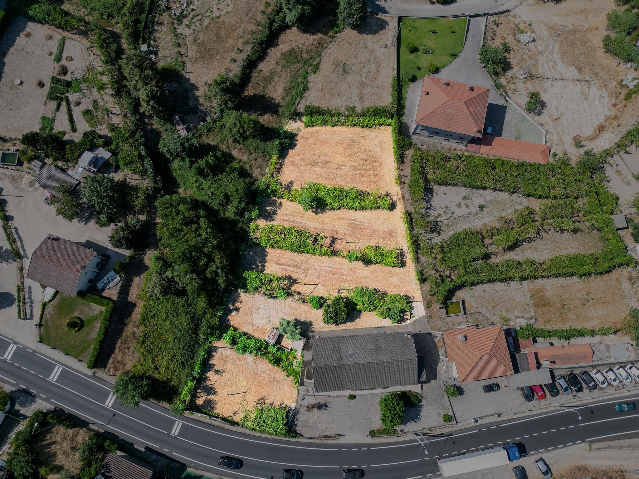 Terreno