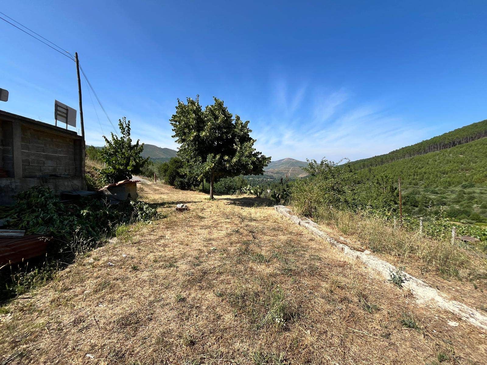 Terreno