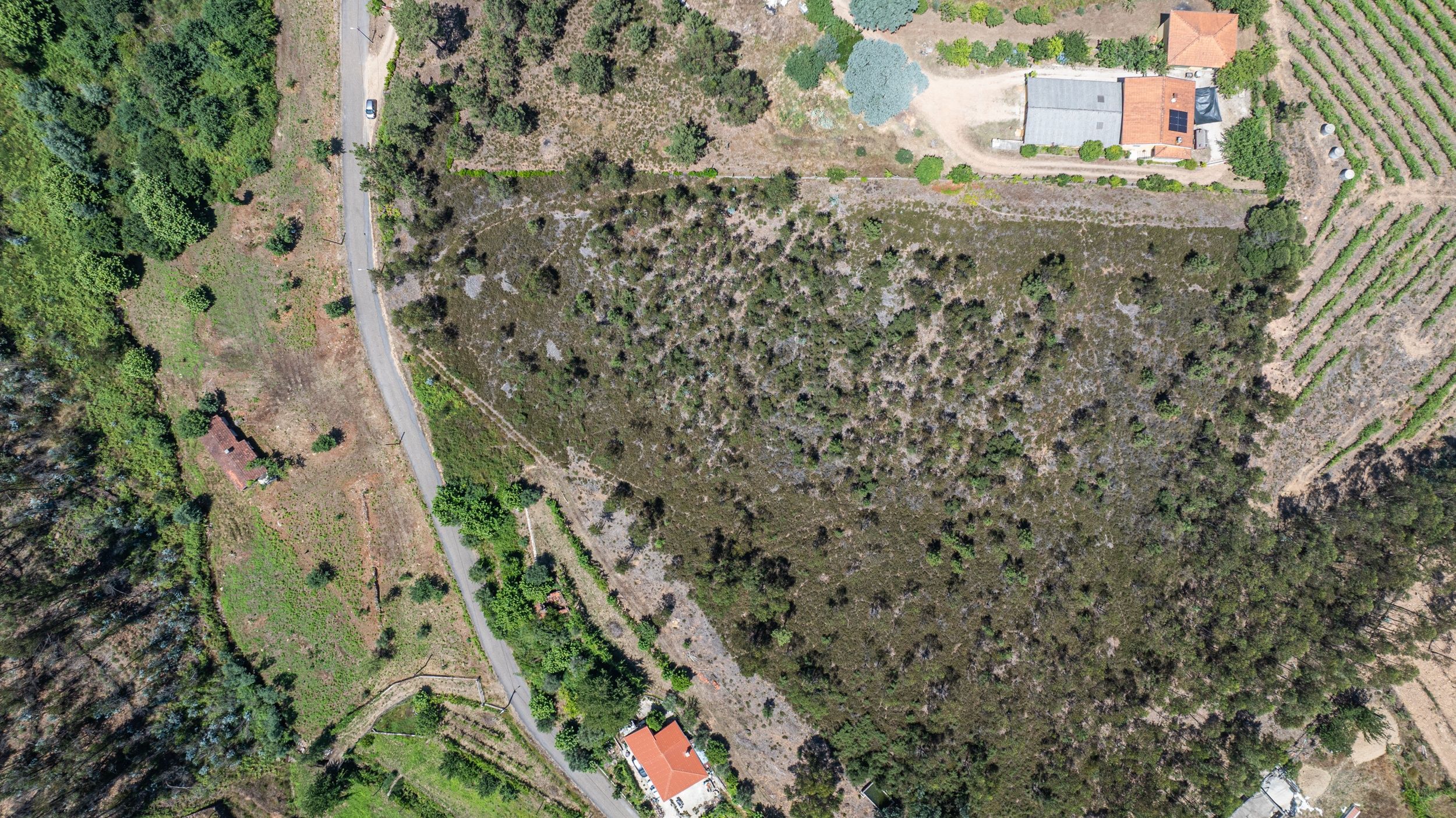 Terreno