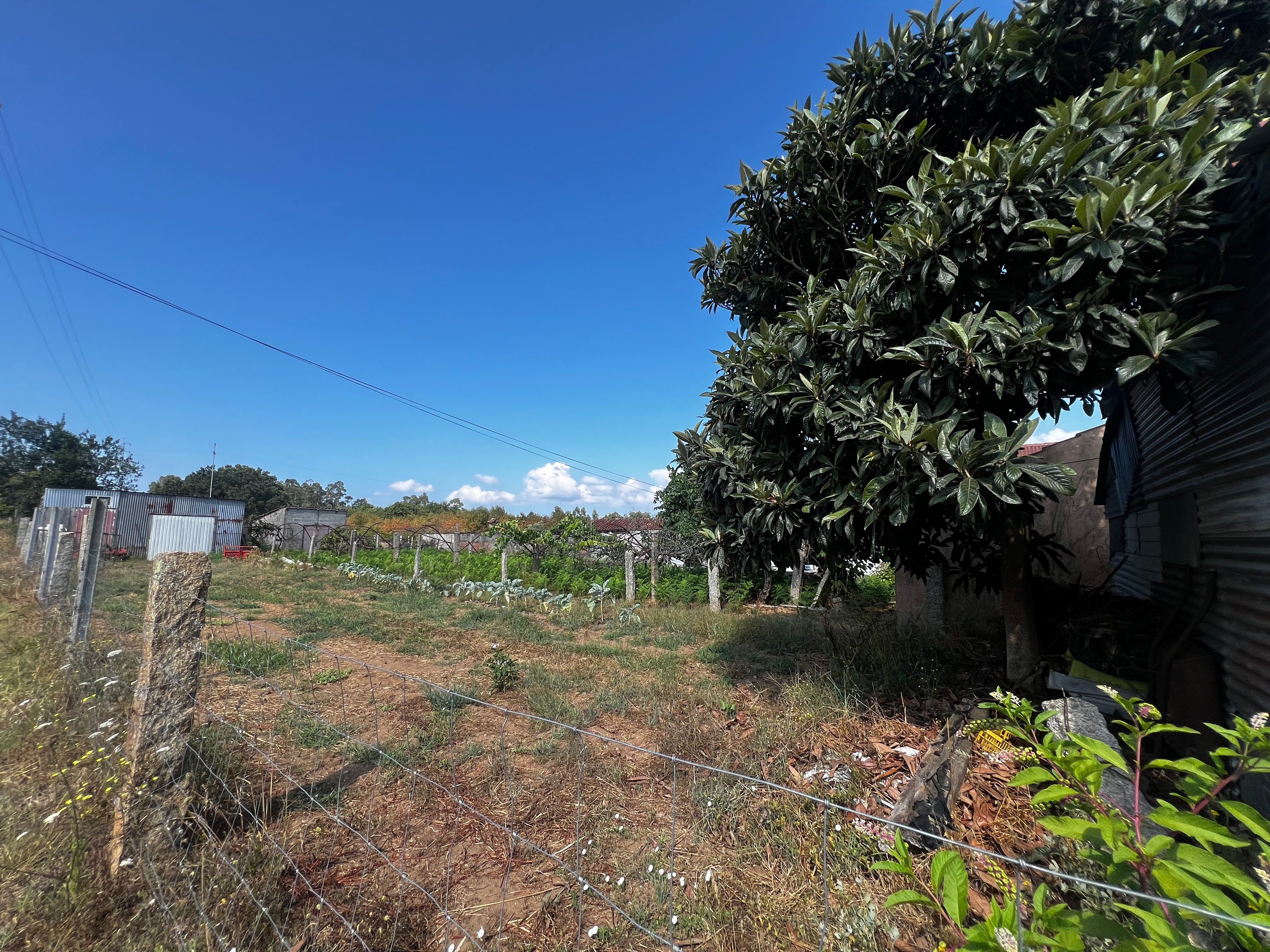 Terreno